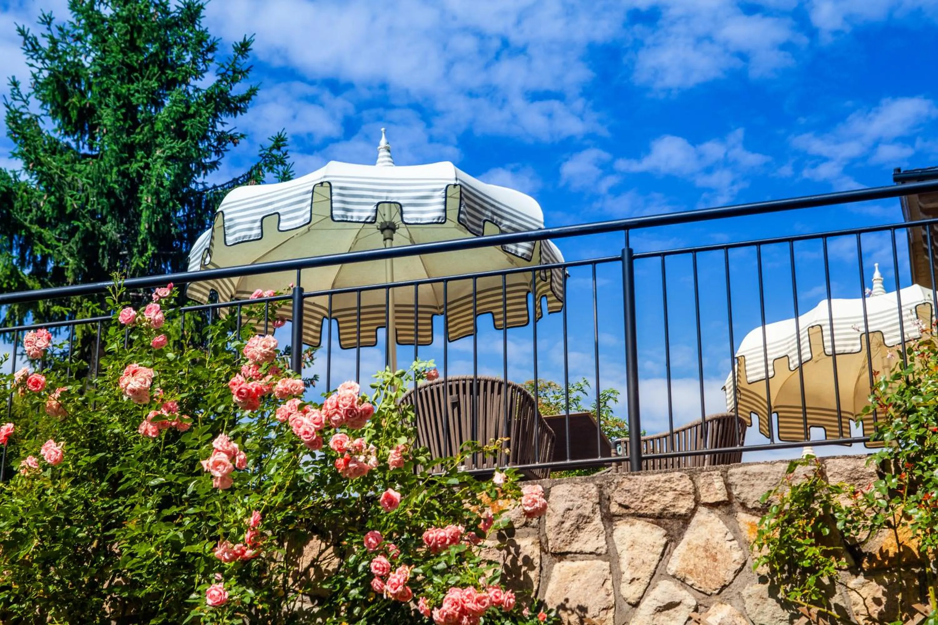 Garden in Hotel Castel Oswald von Wolkenstein