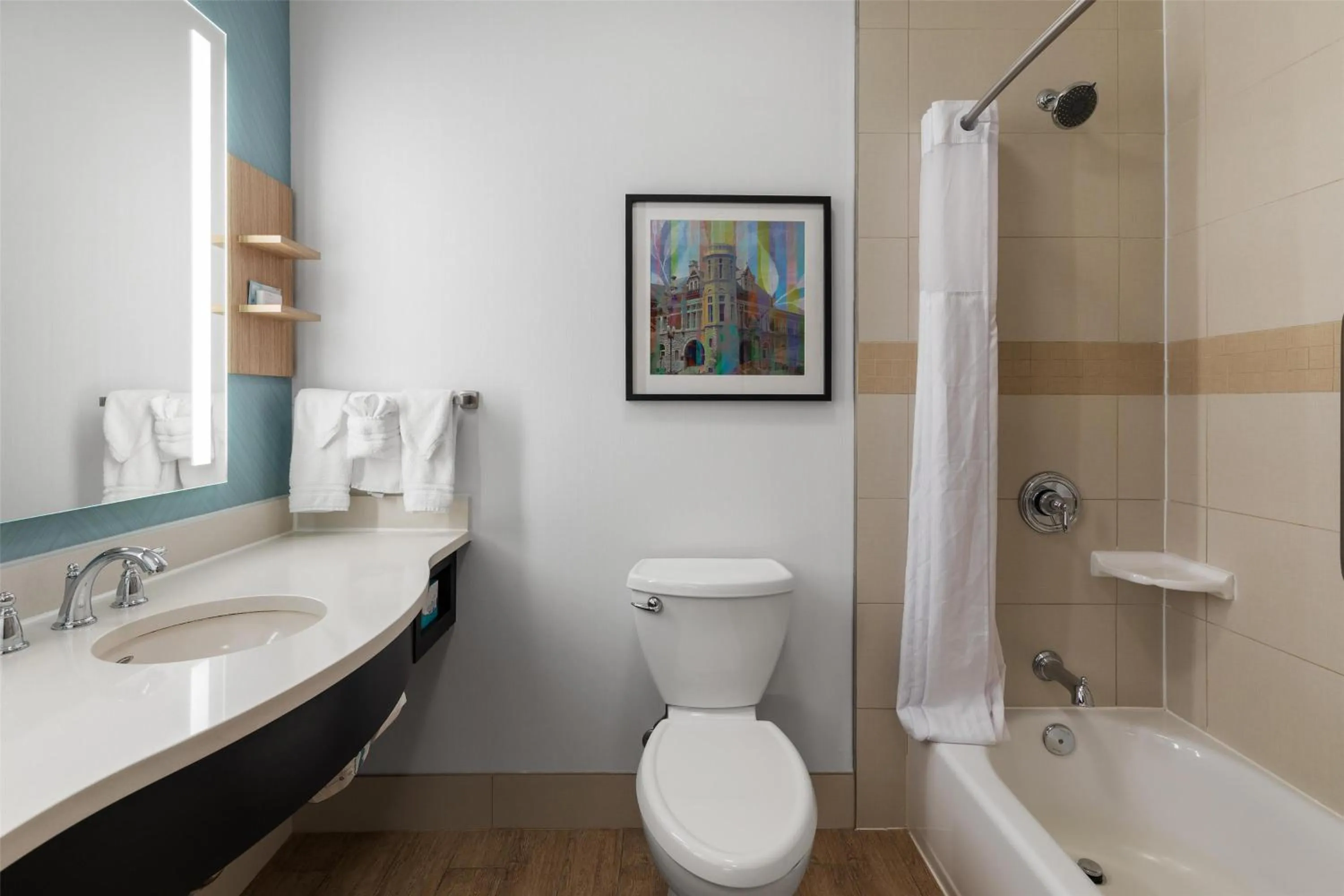 Bathroom in Hilton Garden Inn Auburn