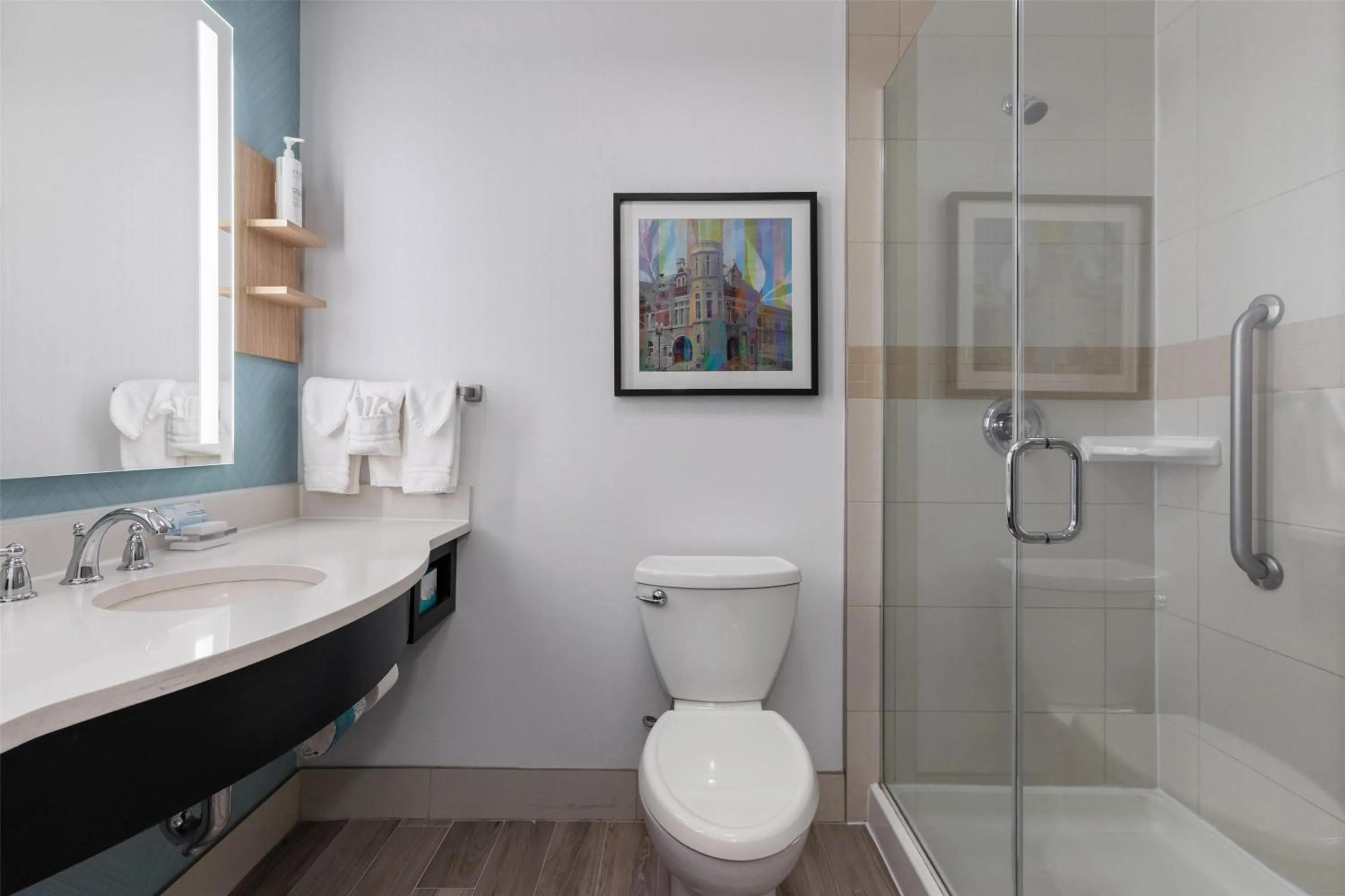 Bathroom in Hilton Garden Inn Auburn