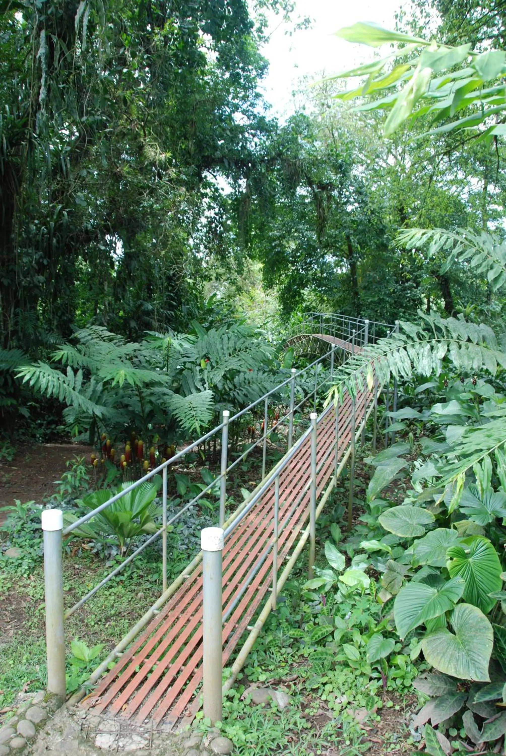 Facade/entrance in Heliconia Island