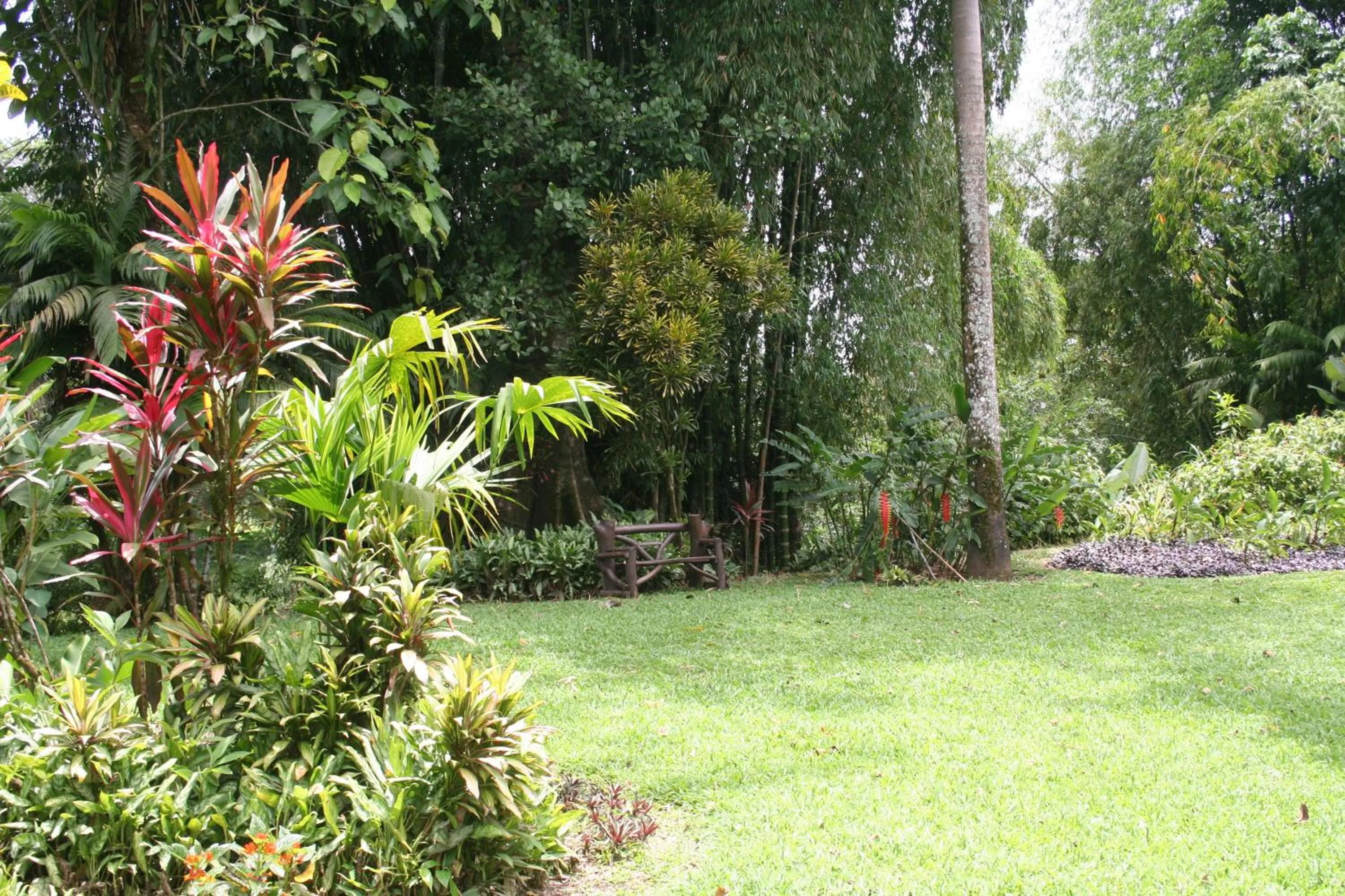 Garden in Heliconia Island