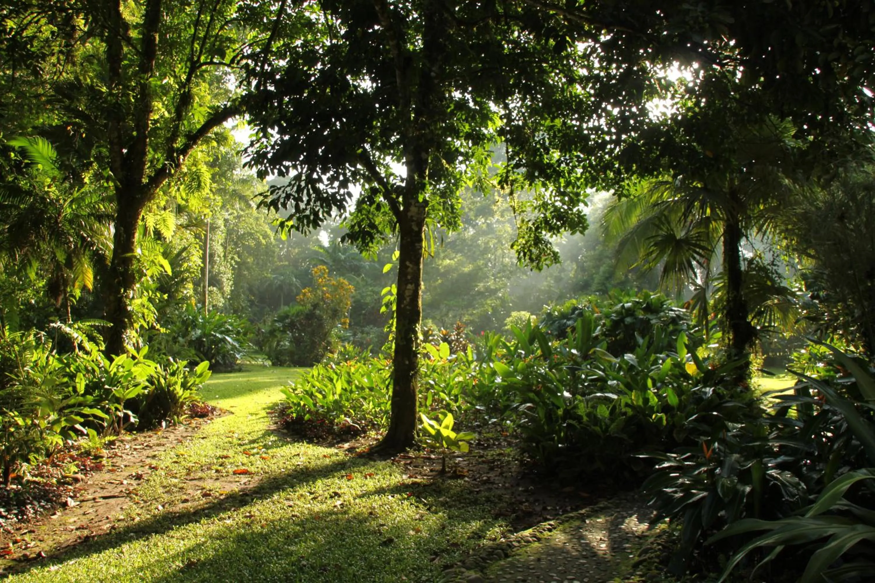 Garden in Heliconia Island