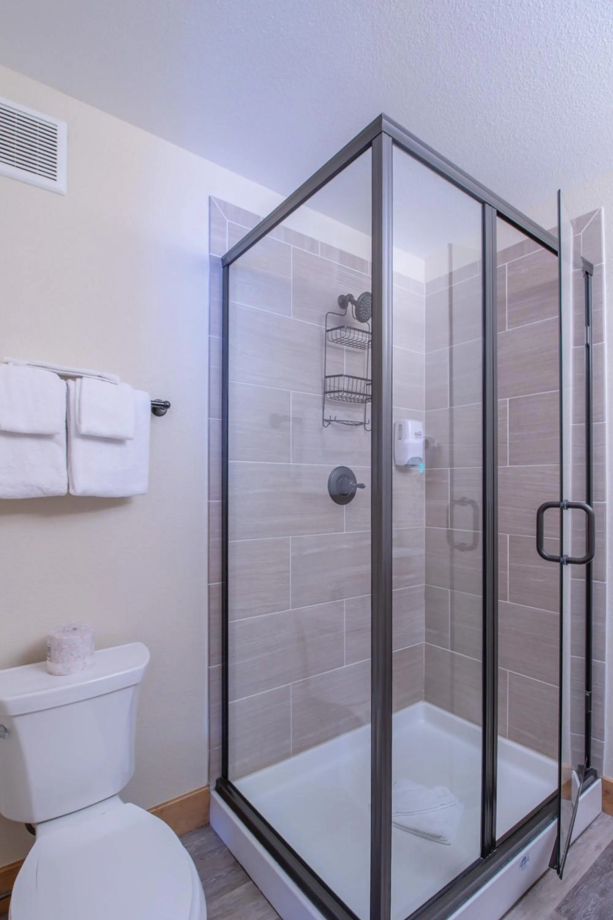Bathroom in Coyote Mountain Lodge