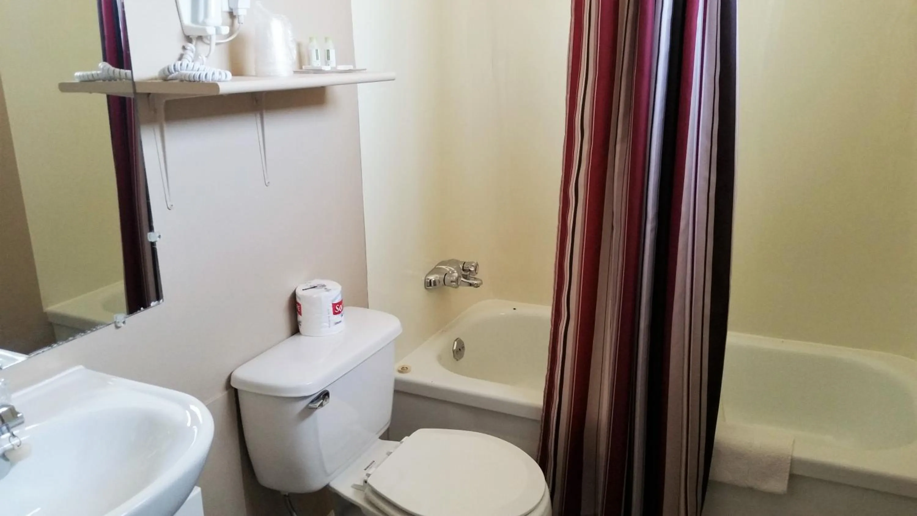 Bathroom in Viking Lamplighter Motel