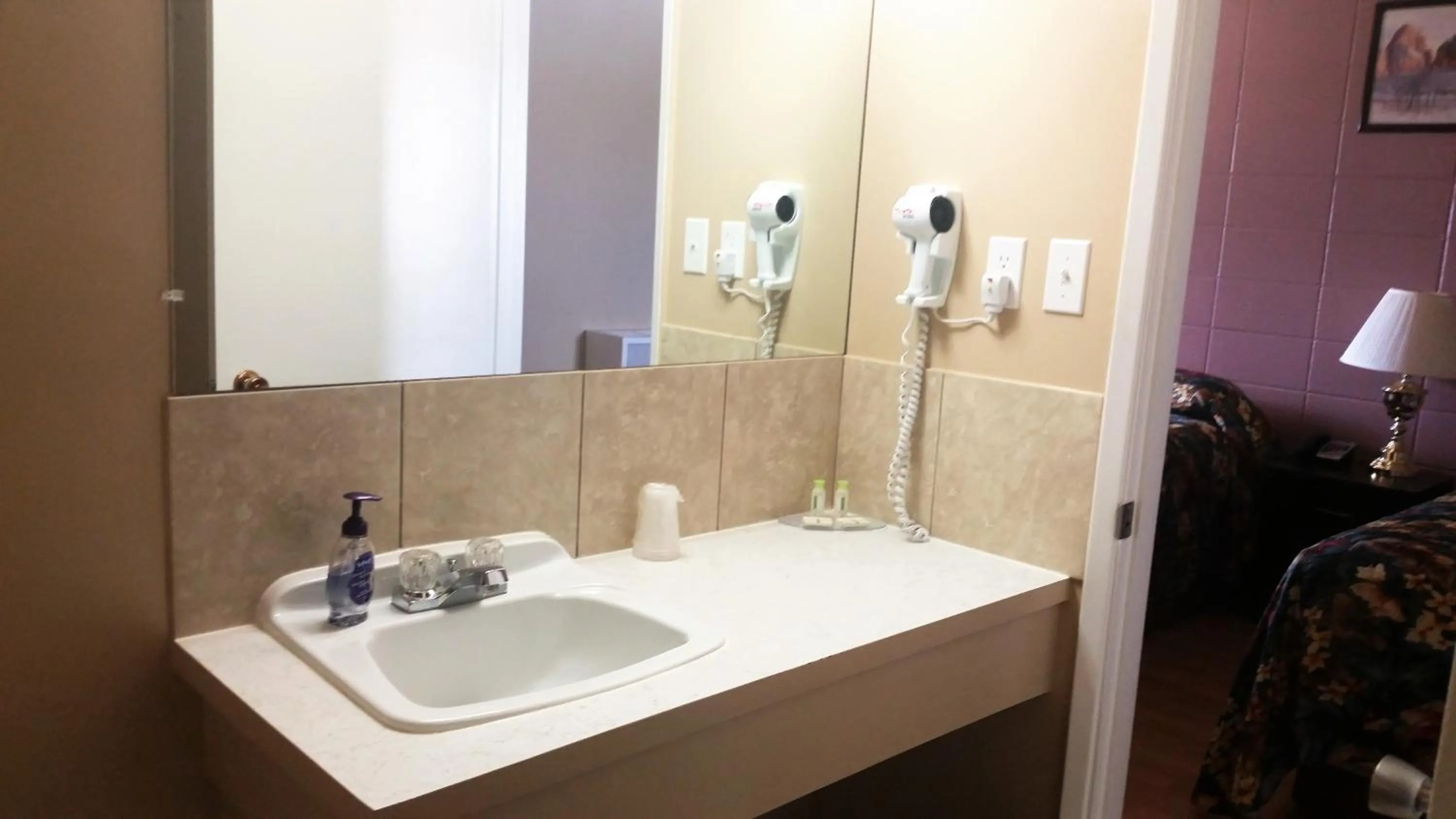 Bathroom in Viking Lamplighter Motel