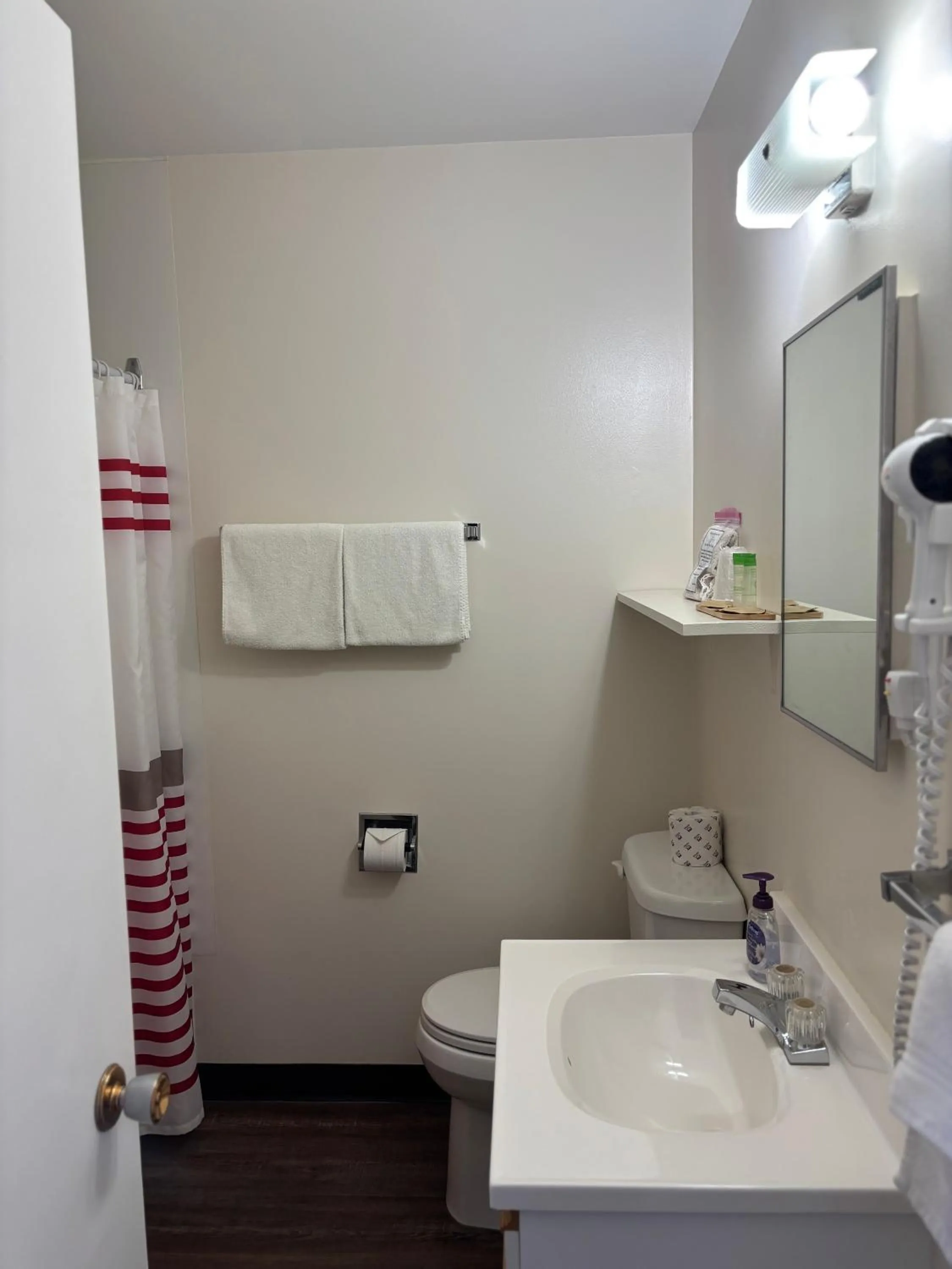 Toilet in Viking Lamplighter Motel