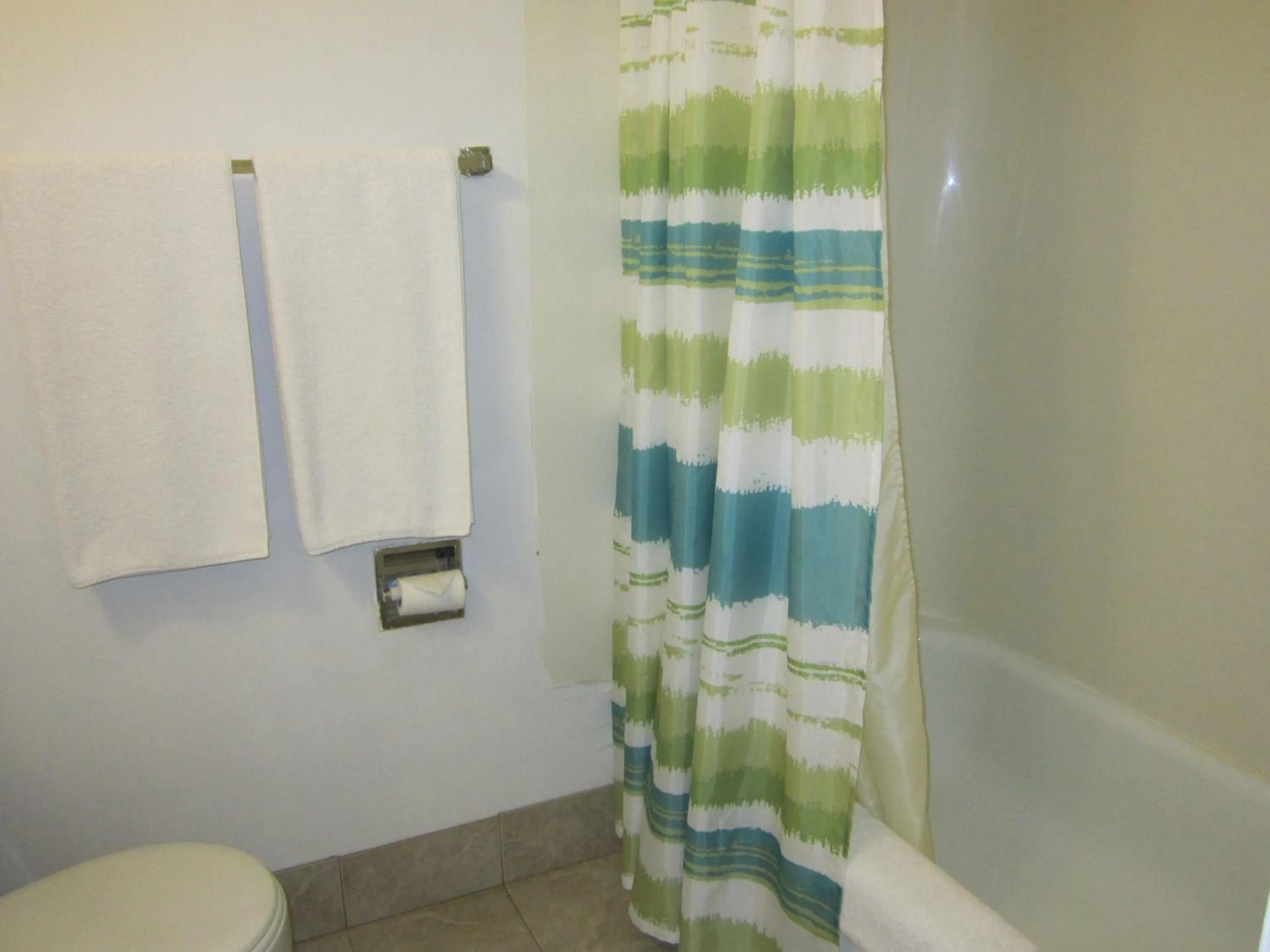 Bathroom in Viking Lamplighter Motel