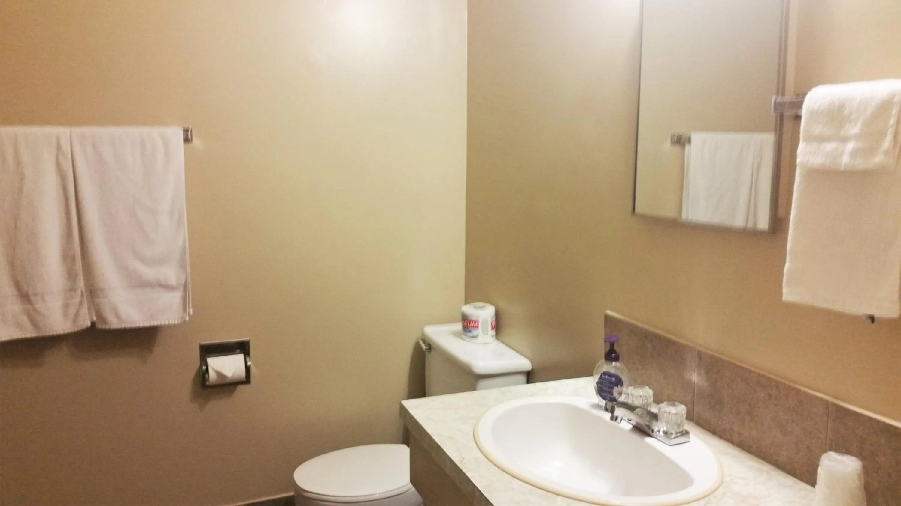 Bathroom in Viking Lamplighter Motel