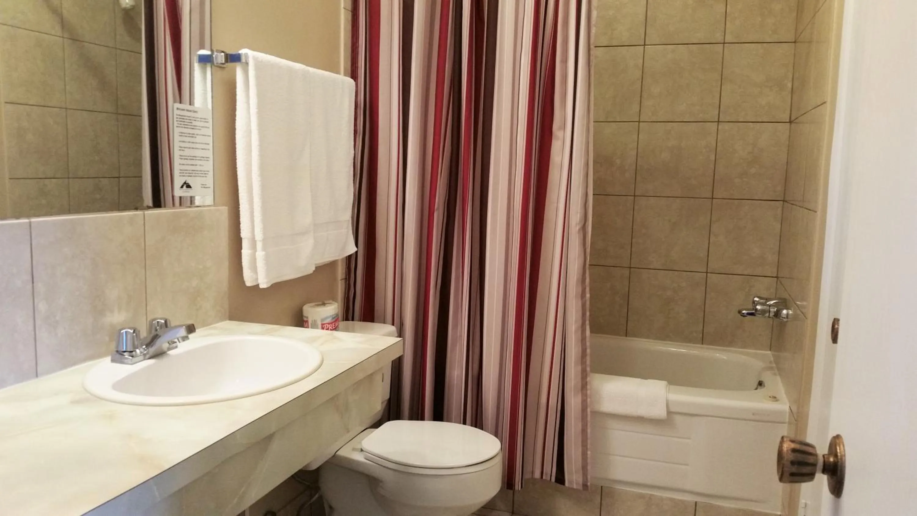 Bathroom in Viking Lamplighter Motel