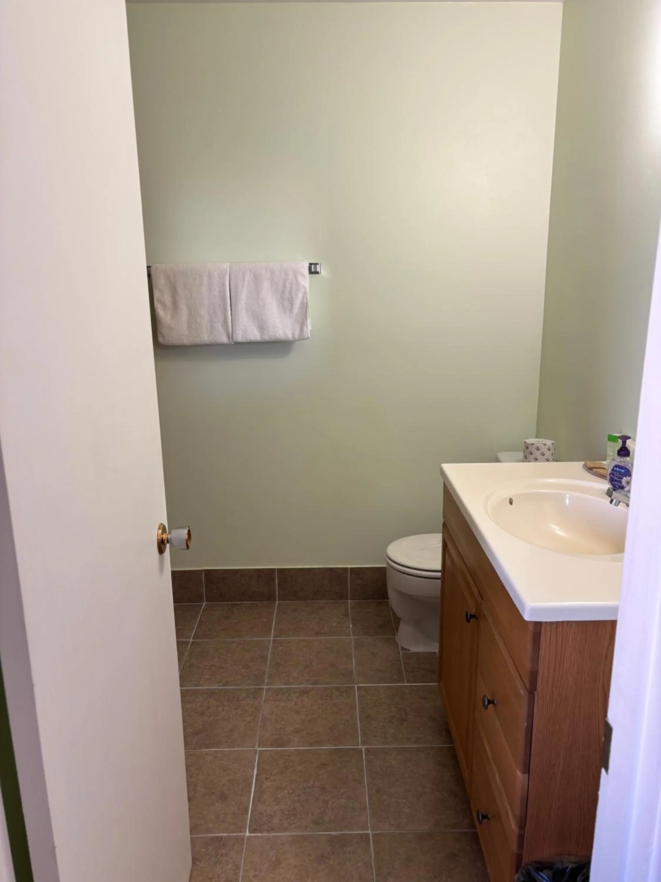 Toilet in Viking Lamplighter Motel