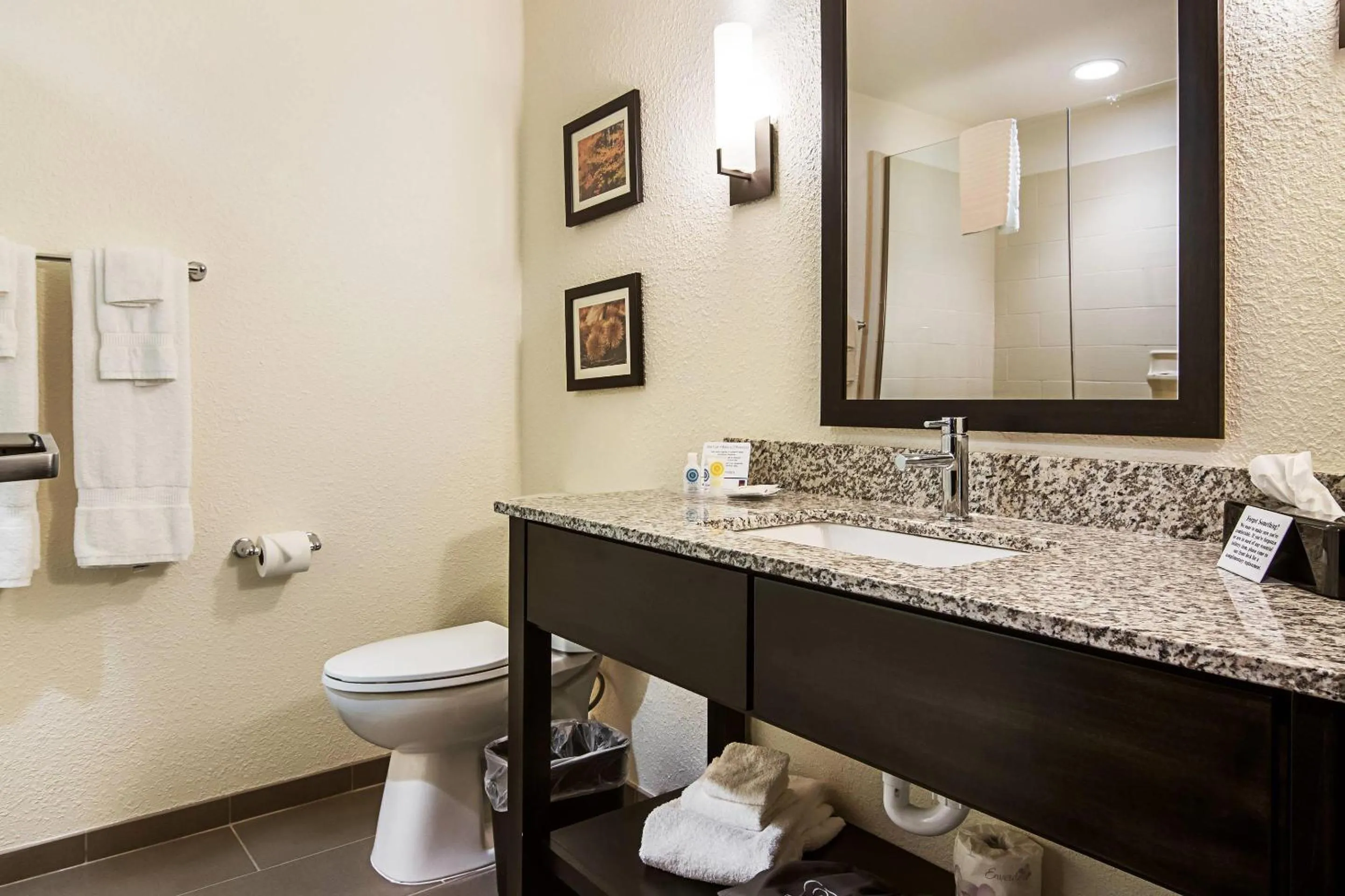 Bathroom in Comfort Suites Wooster near University Campus