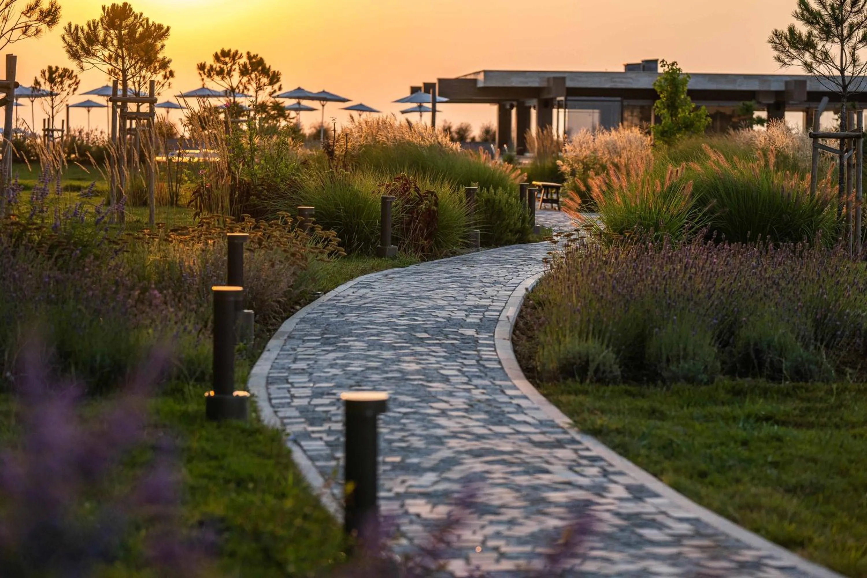 Natural landscape in HVD Reina del Mar - Premium Spa Service & Free Parking