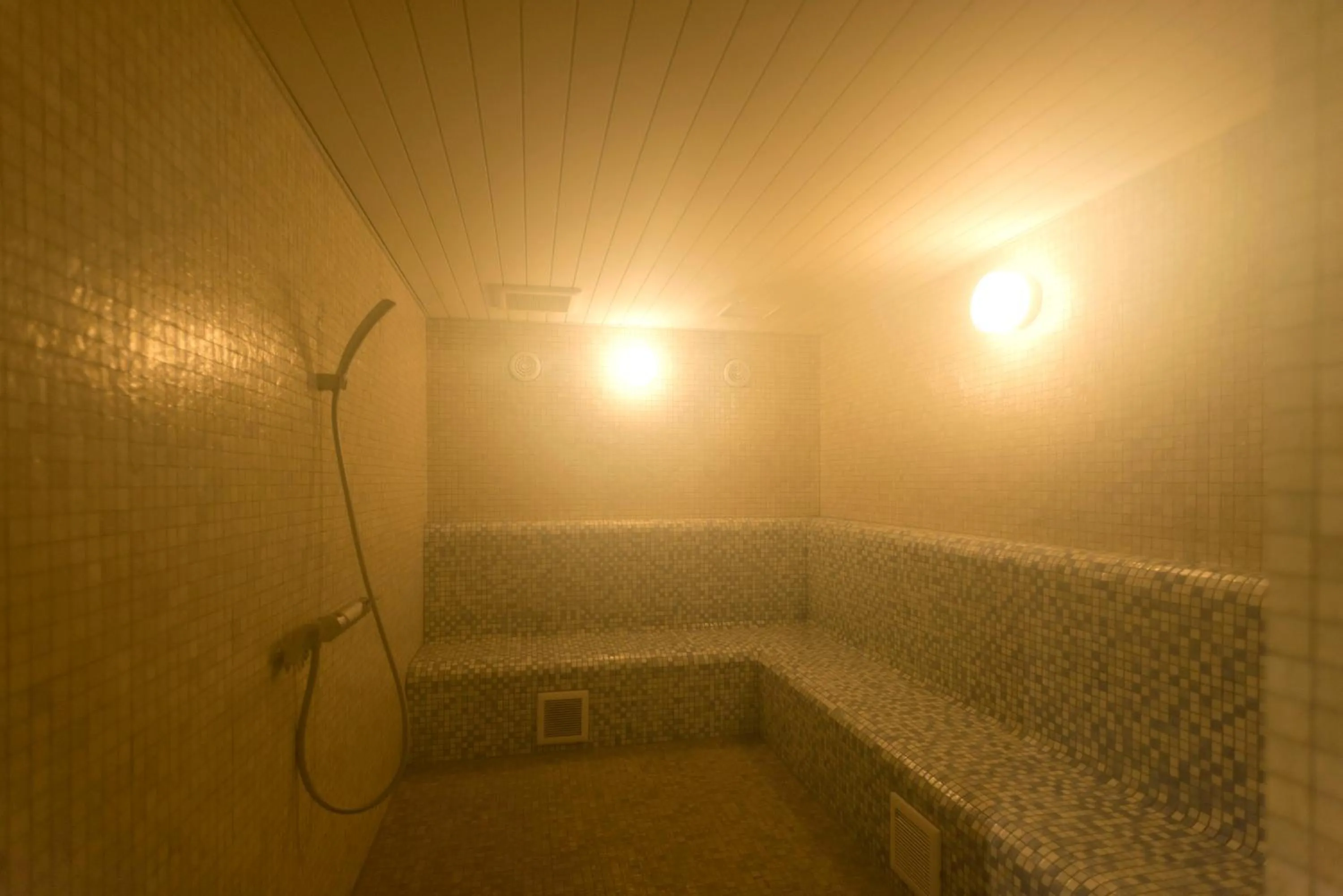 Hot Spring Bath in Kurobe Unazukionsen Yamanoha