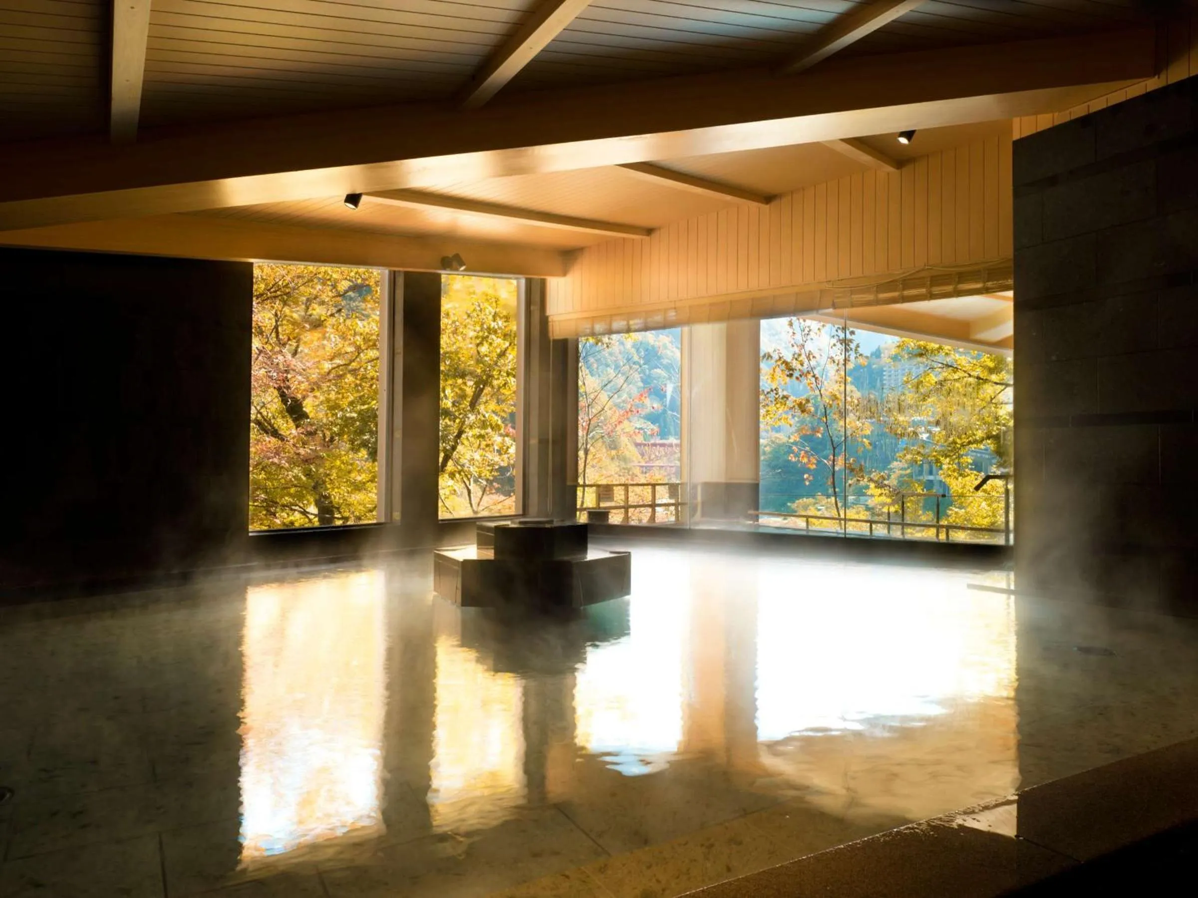 Hot Spring Bath in Kurobe Unazukionsen Yamanoha