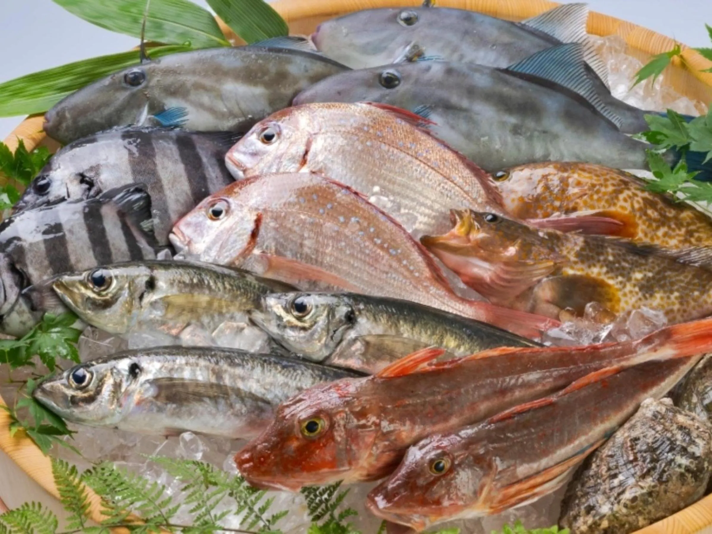 Food in Kurobe Unazukionsen Yamanoha