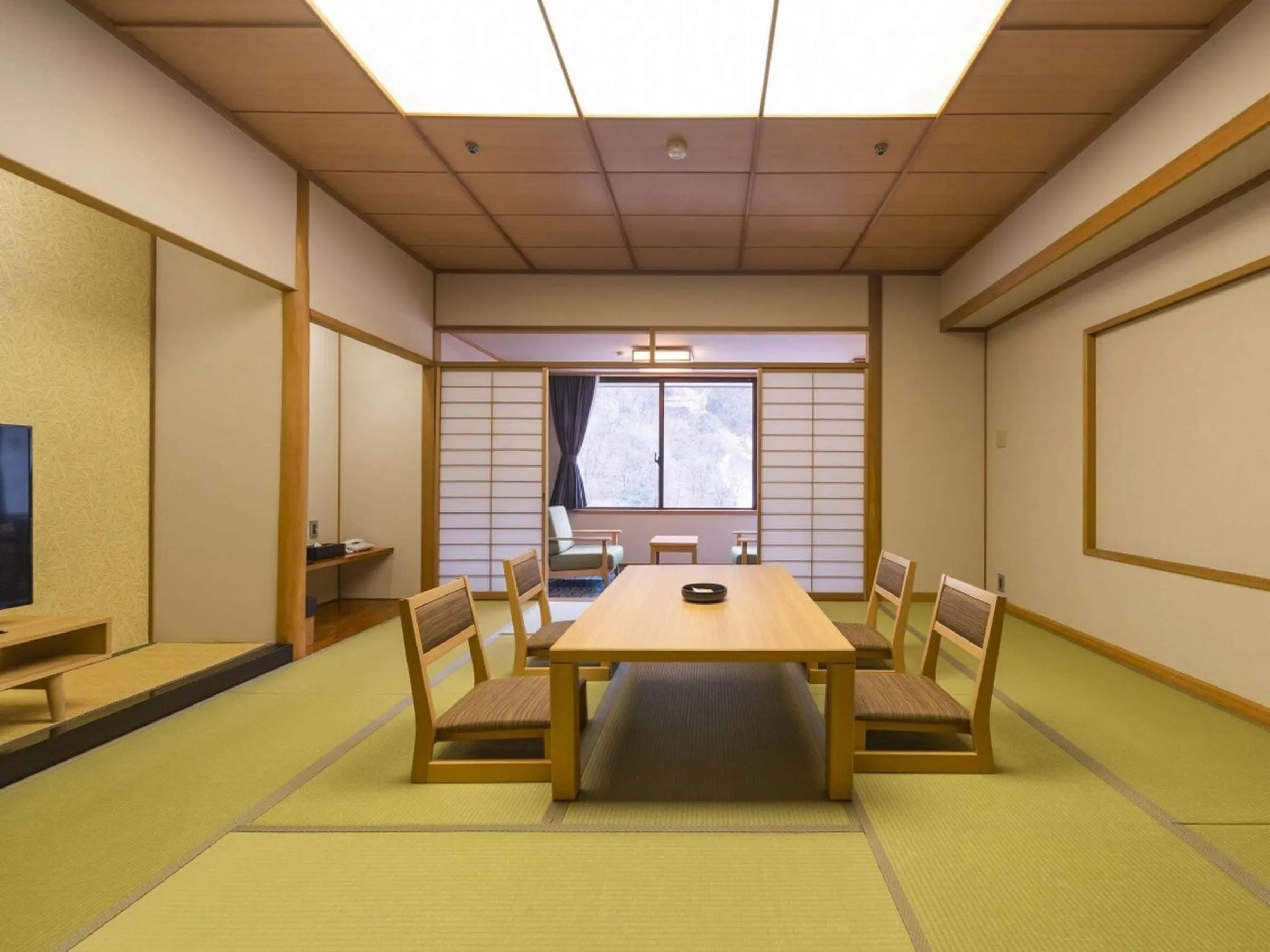 TV and multimedia in Kurobe Unazukionsen Yamanoha