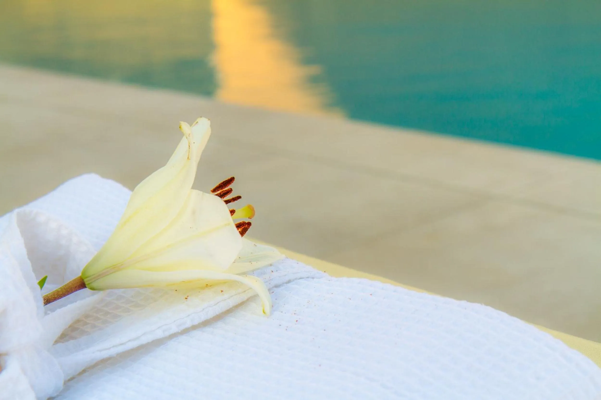 Swimming pool in Villa Royal