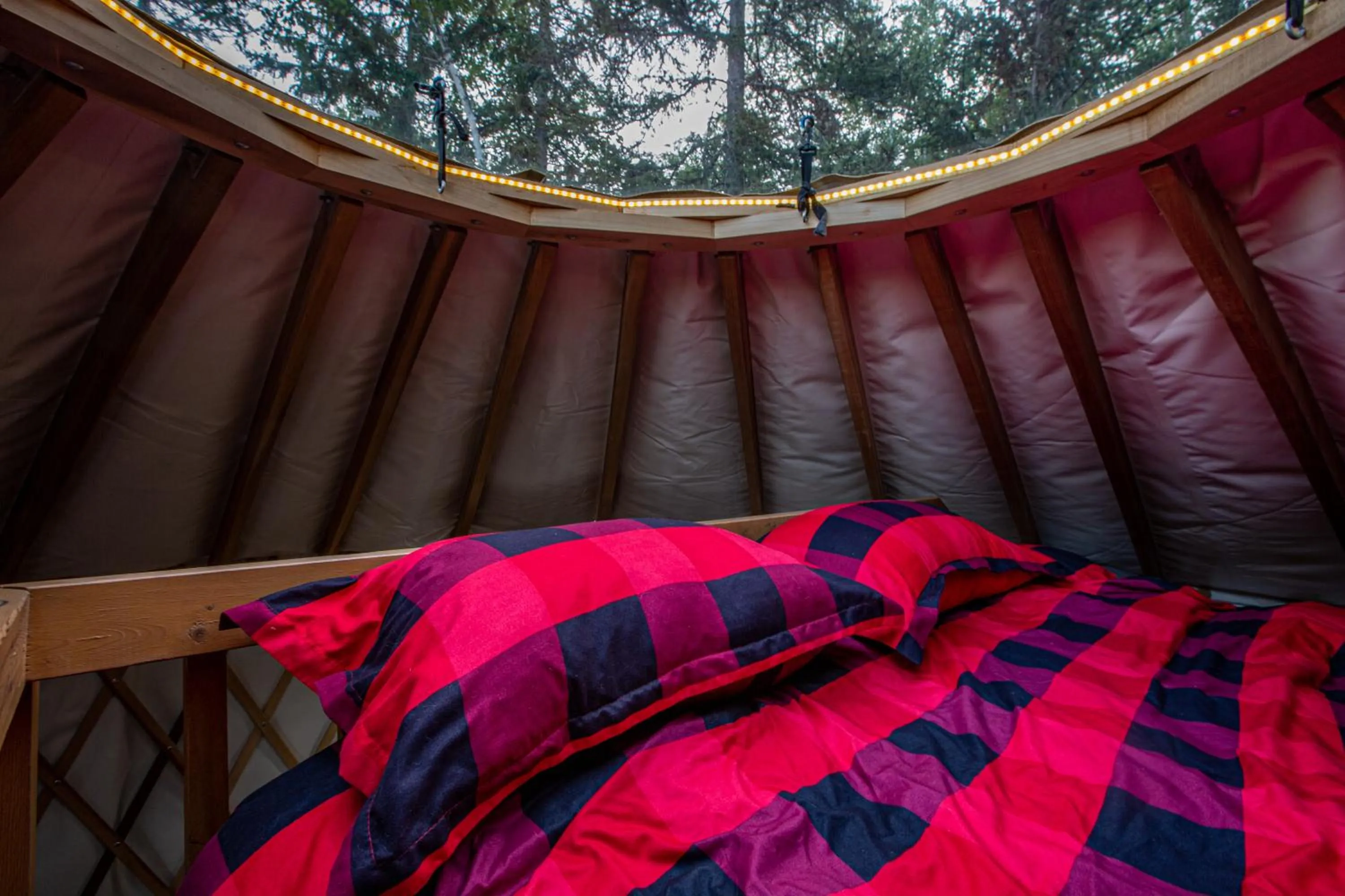 Photo of the whole room, Bed in Les Racines du p'tit Isidore