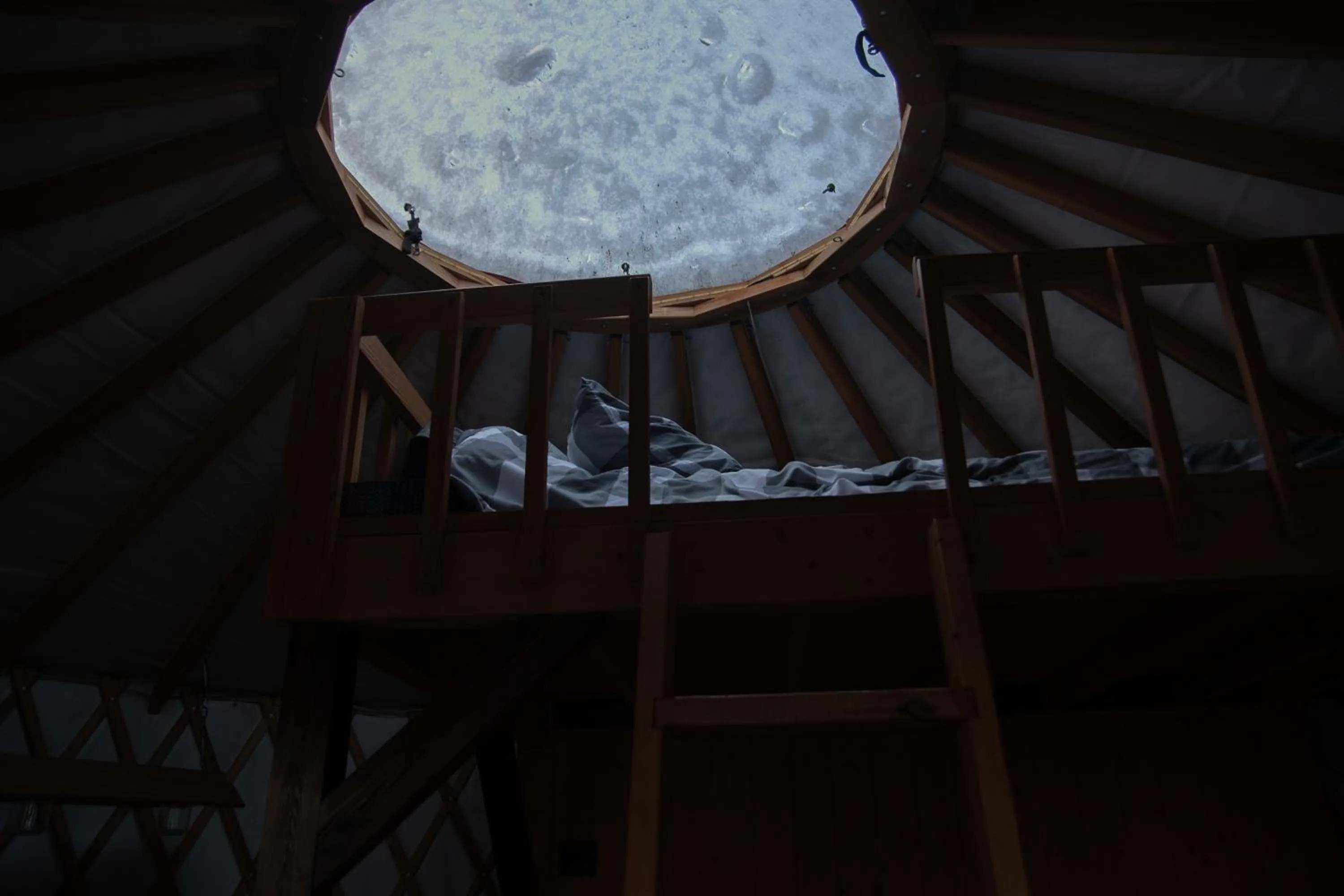 Les Racines du p'tit Isidore