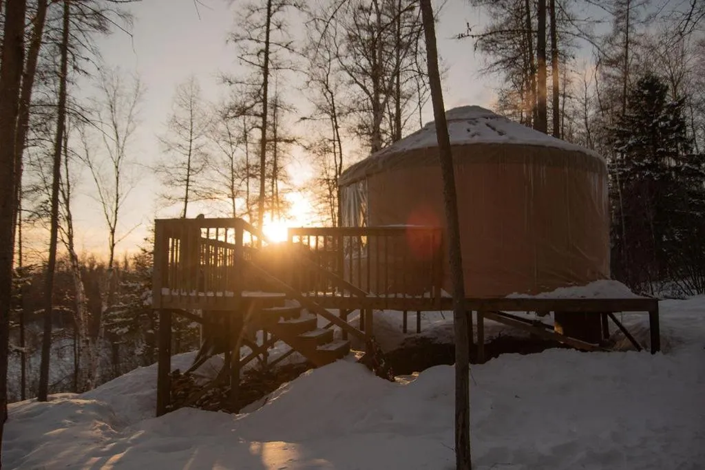 Les Racines du p'tit Isidore