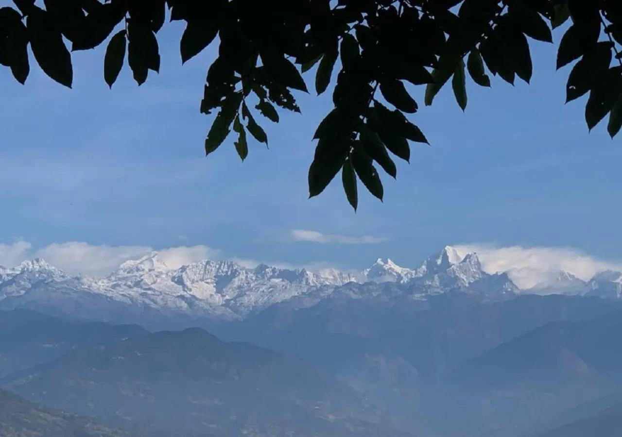 Mountain view in The Lapsi Tree