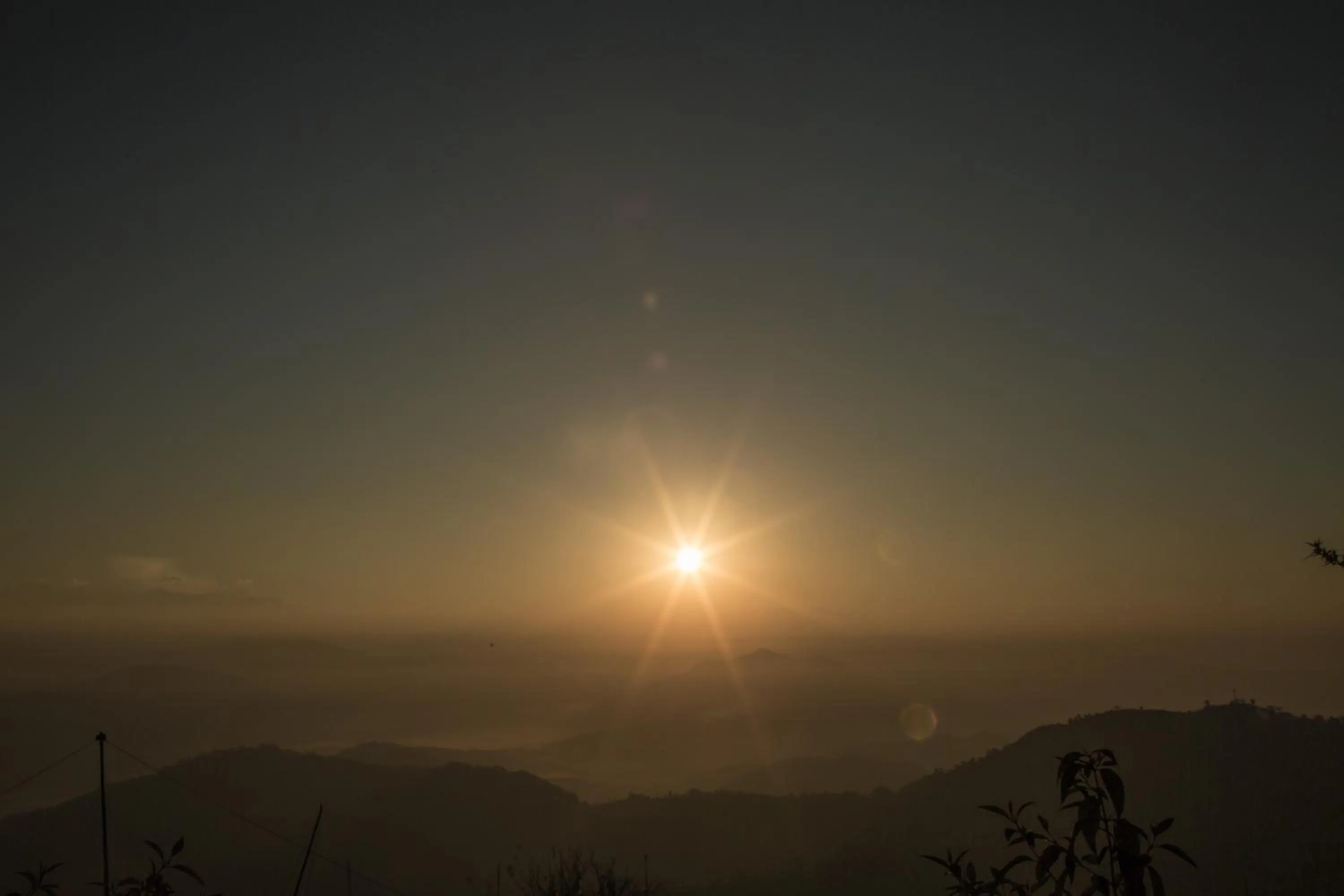 Natural landscape in The Lapsi Tree