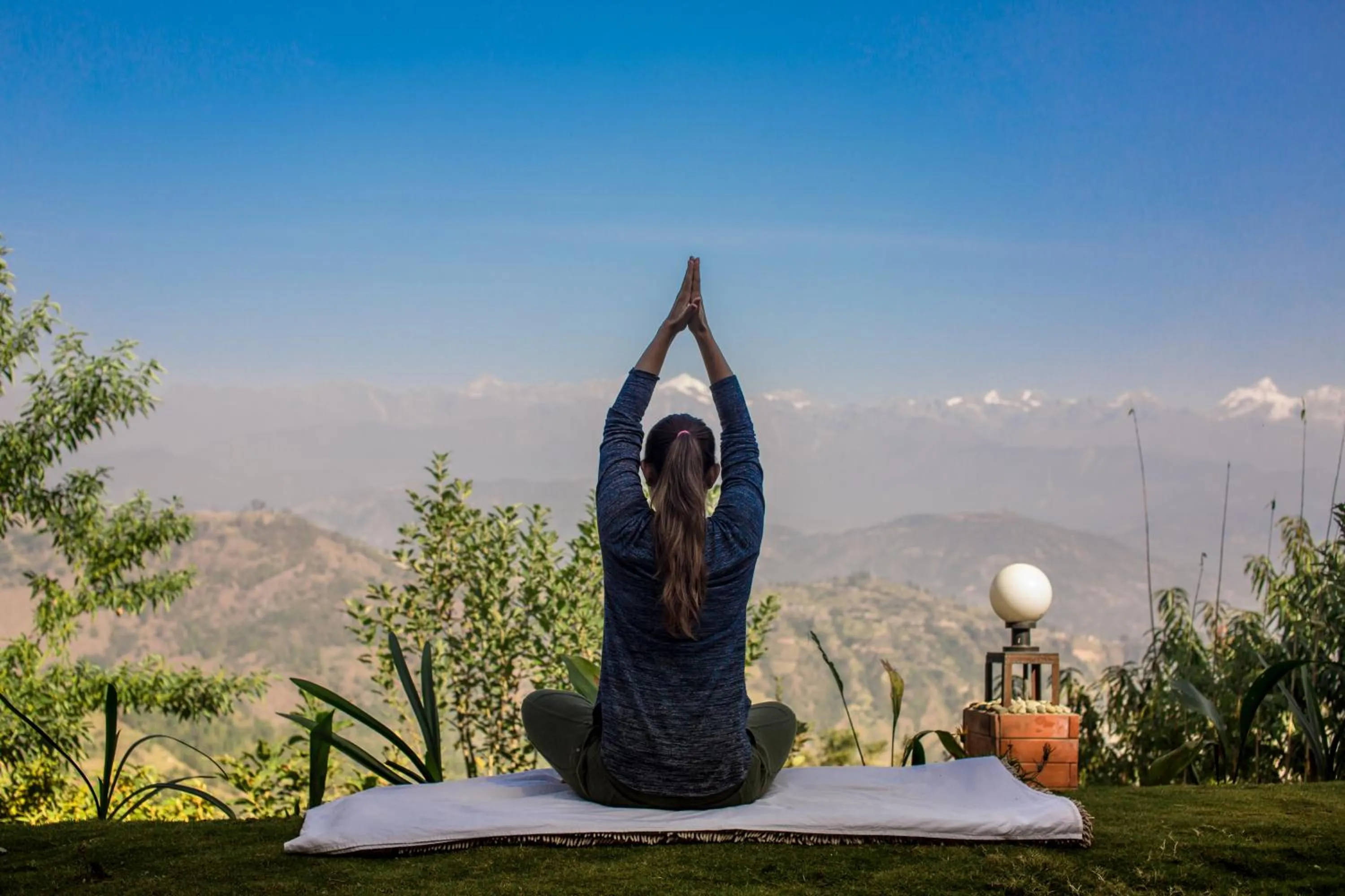 People in The Lapsi Tree