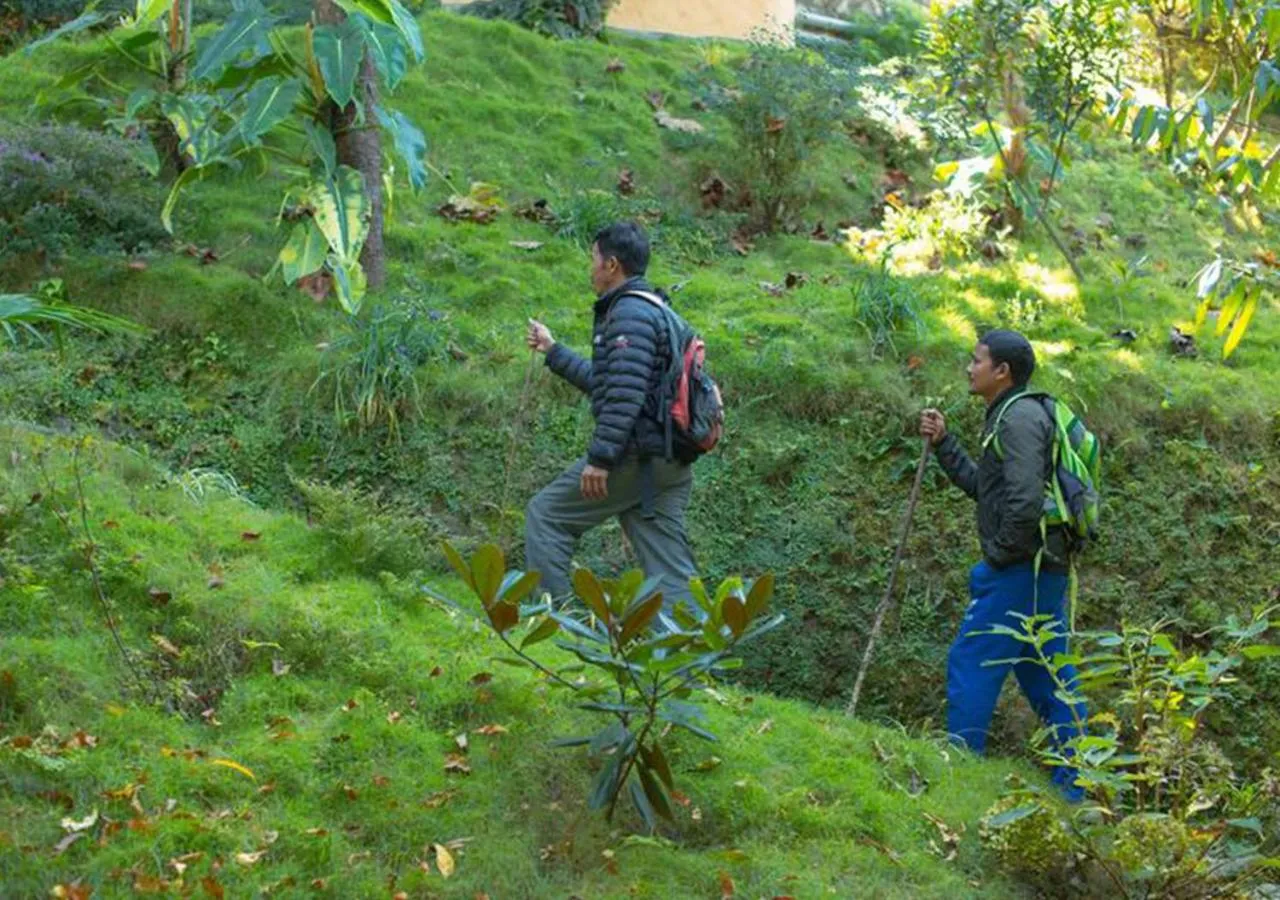 People in The Lapsi Tree