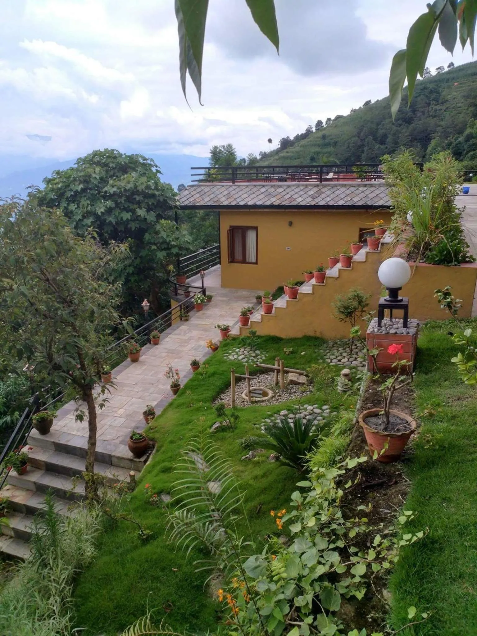 Property building in The Lapsi Tree