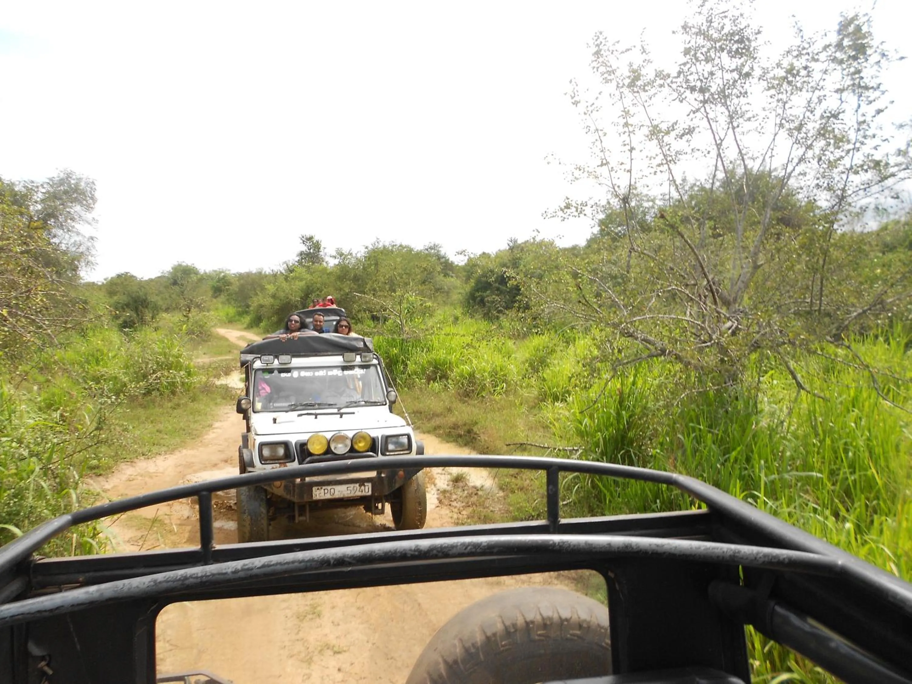 Natural landscape in Shanith Guesthouse Negombo , beach road