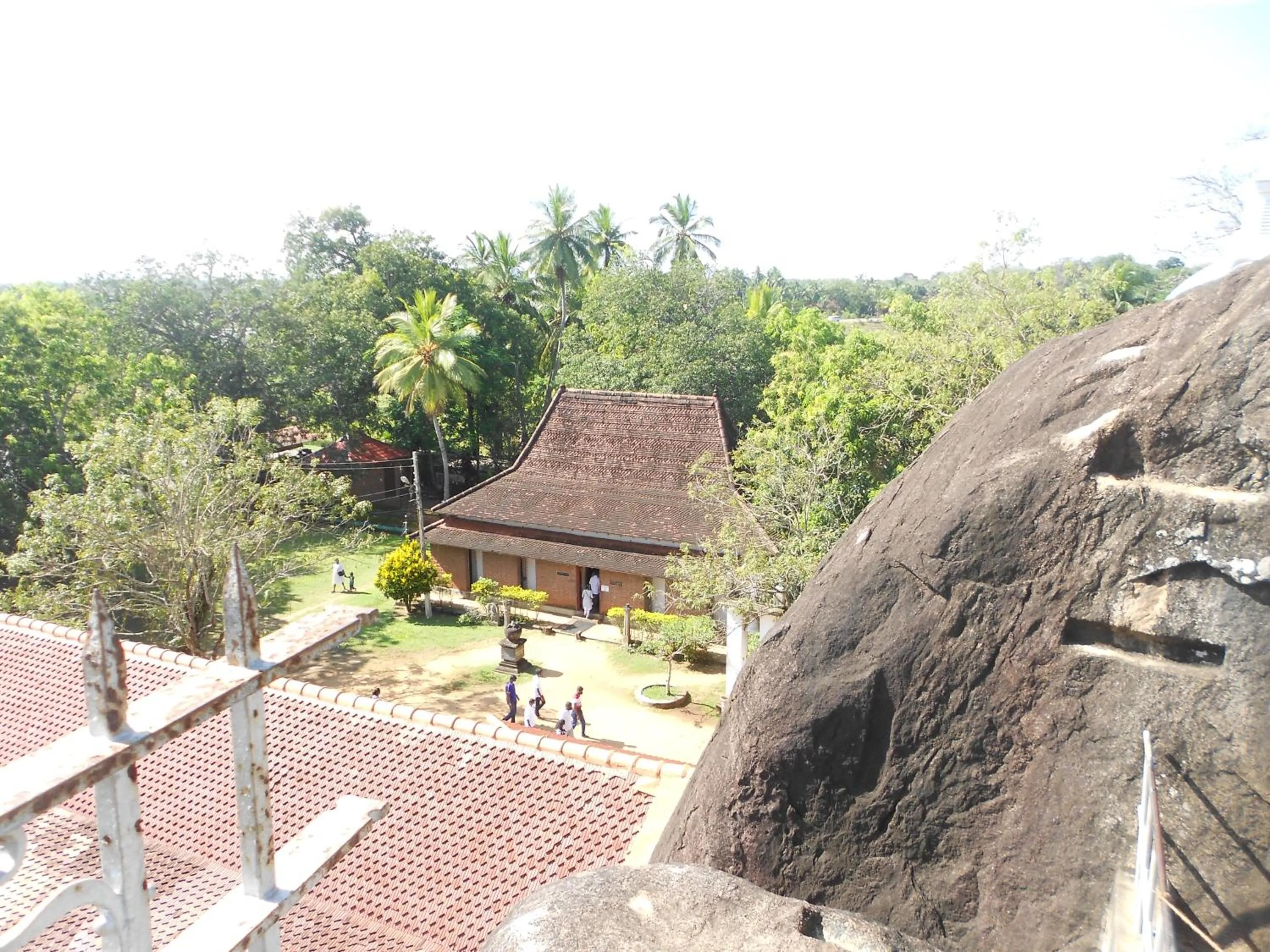 Natural landscape in Shanith Guesthouse Negombo , beach road
