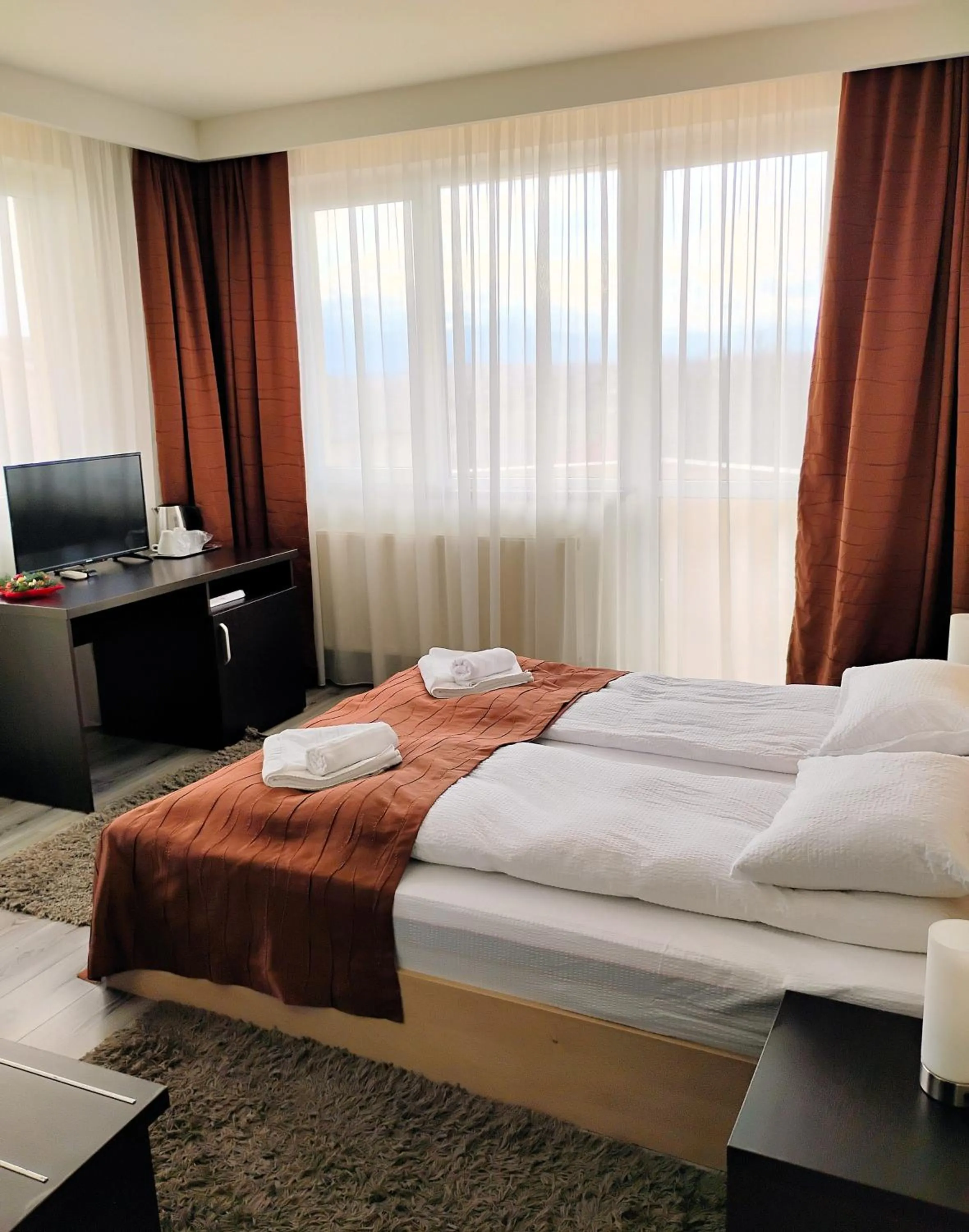 TV and multimedia in Pensiunea Carmen - Bikers Friendly Nest