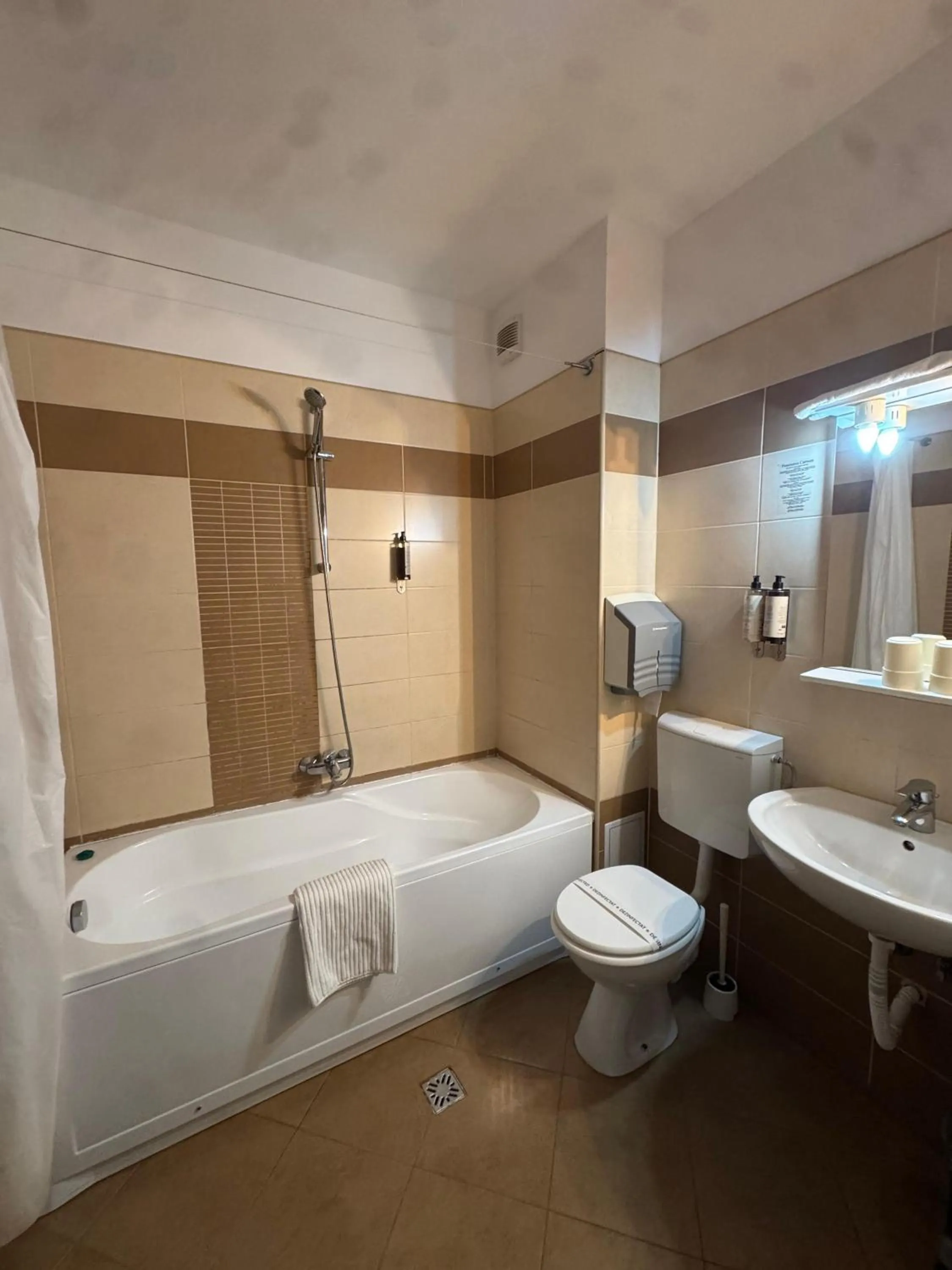 Bathroom in Pensiunea Carmen - Bikers Friendly Nest