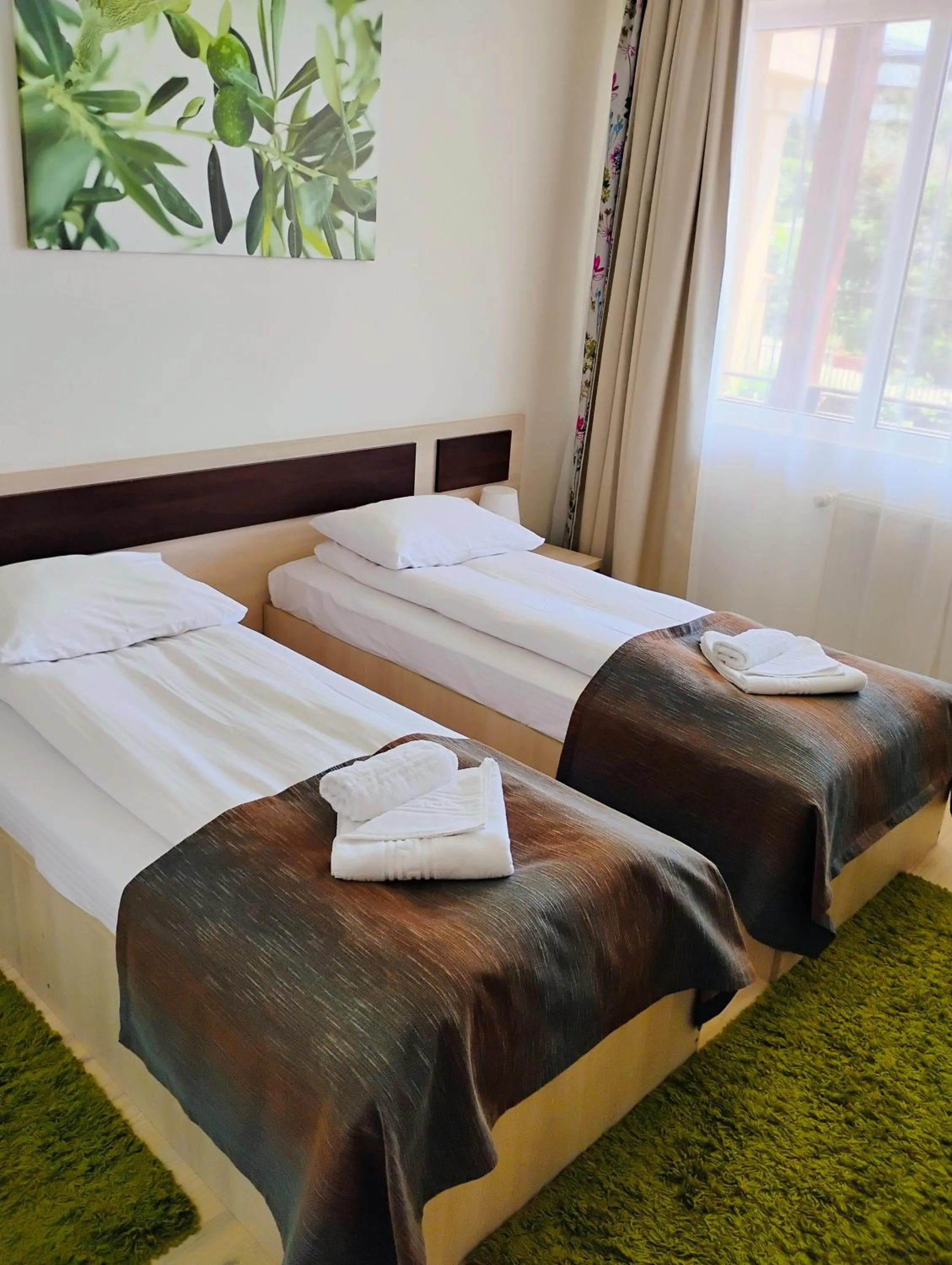 Standard Twin Room in Pensiunea Carmen - Bikers Friendly Nest