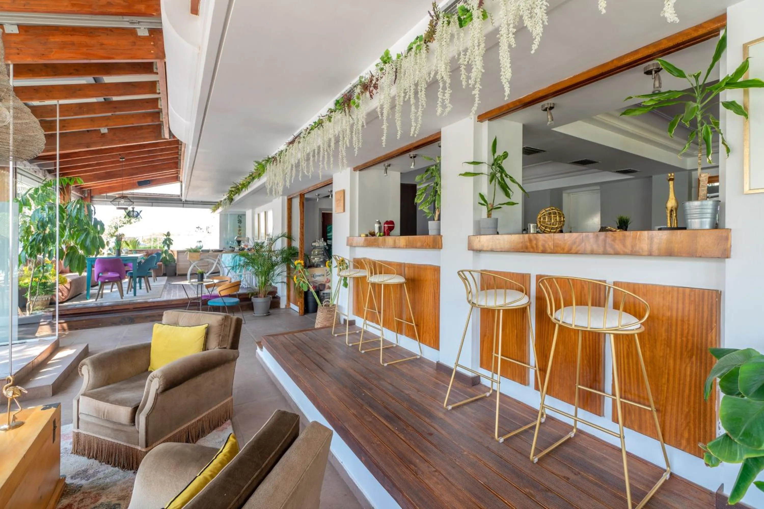 Restaurant/places to eat in Maison 66, Riviera Hotels