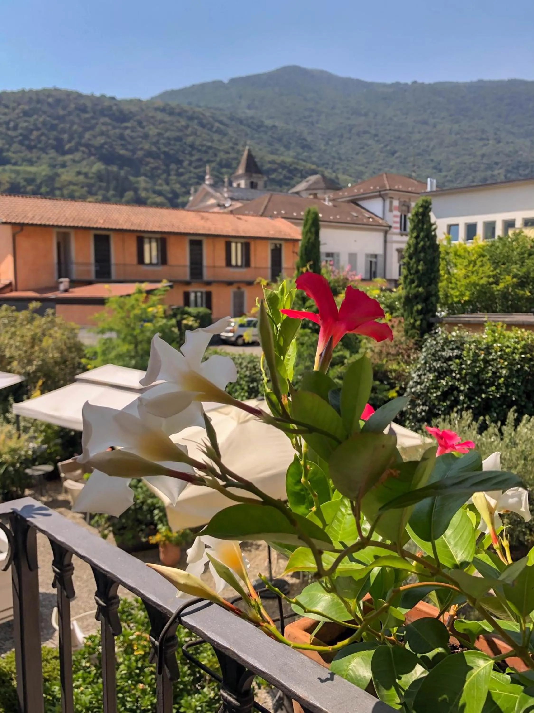Balcony/Terrace in Hotel Antica Stallera