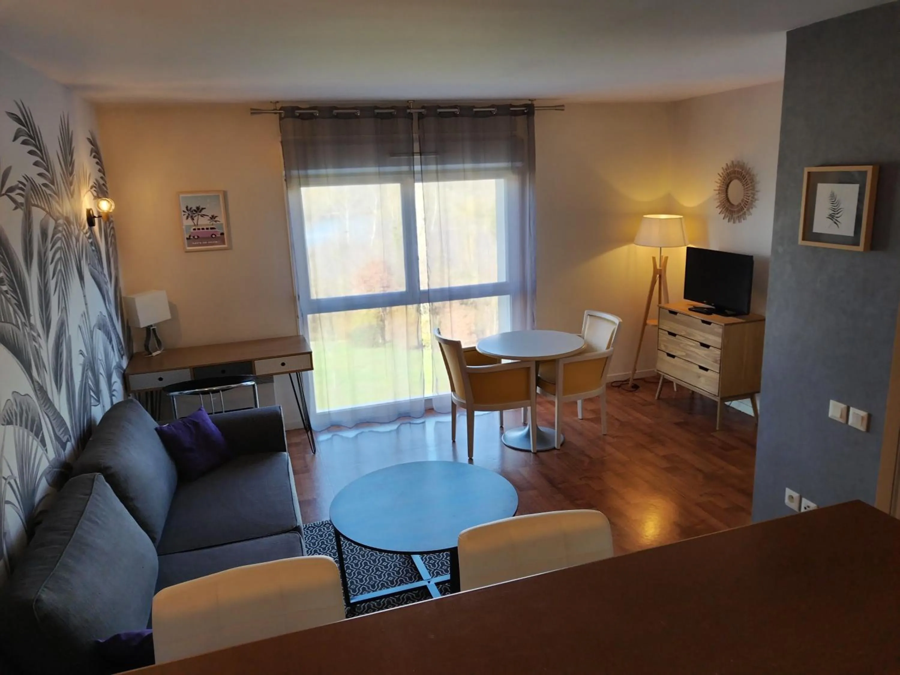 TV and multimedia in Résidence Carouge Appart Hôtel