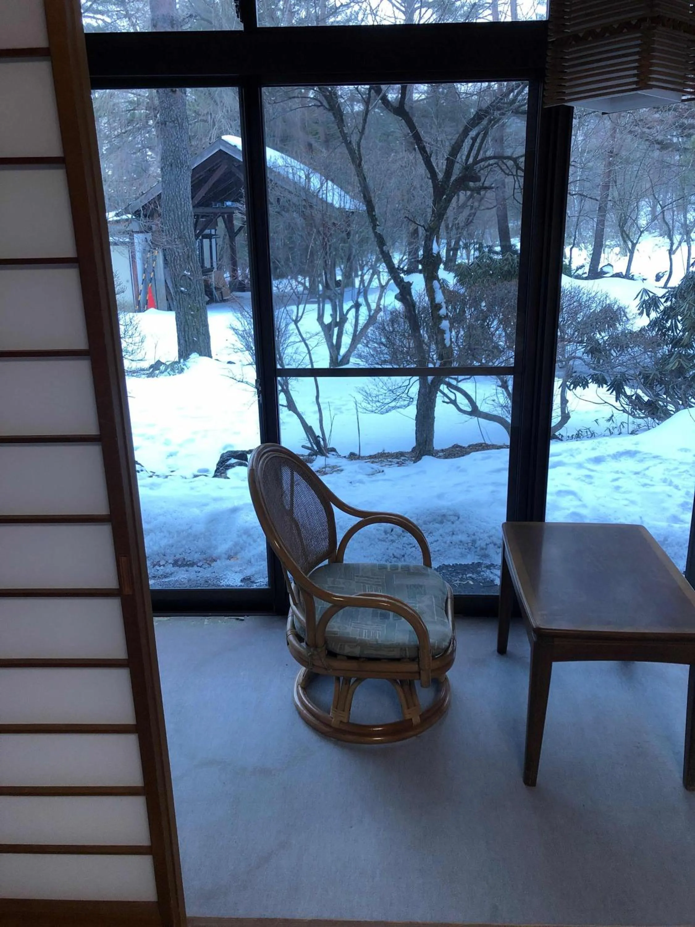 Balcony/Terrace in ELE Hotel Onsen Ryokufutei