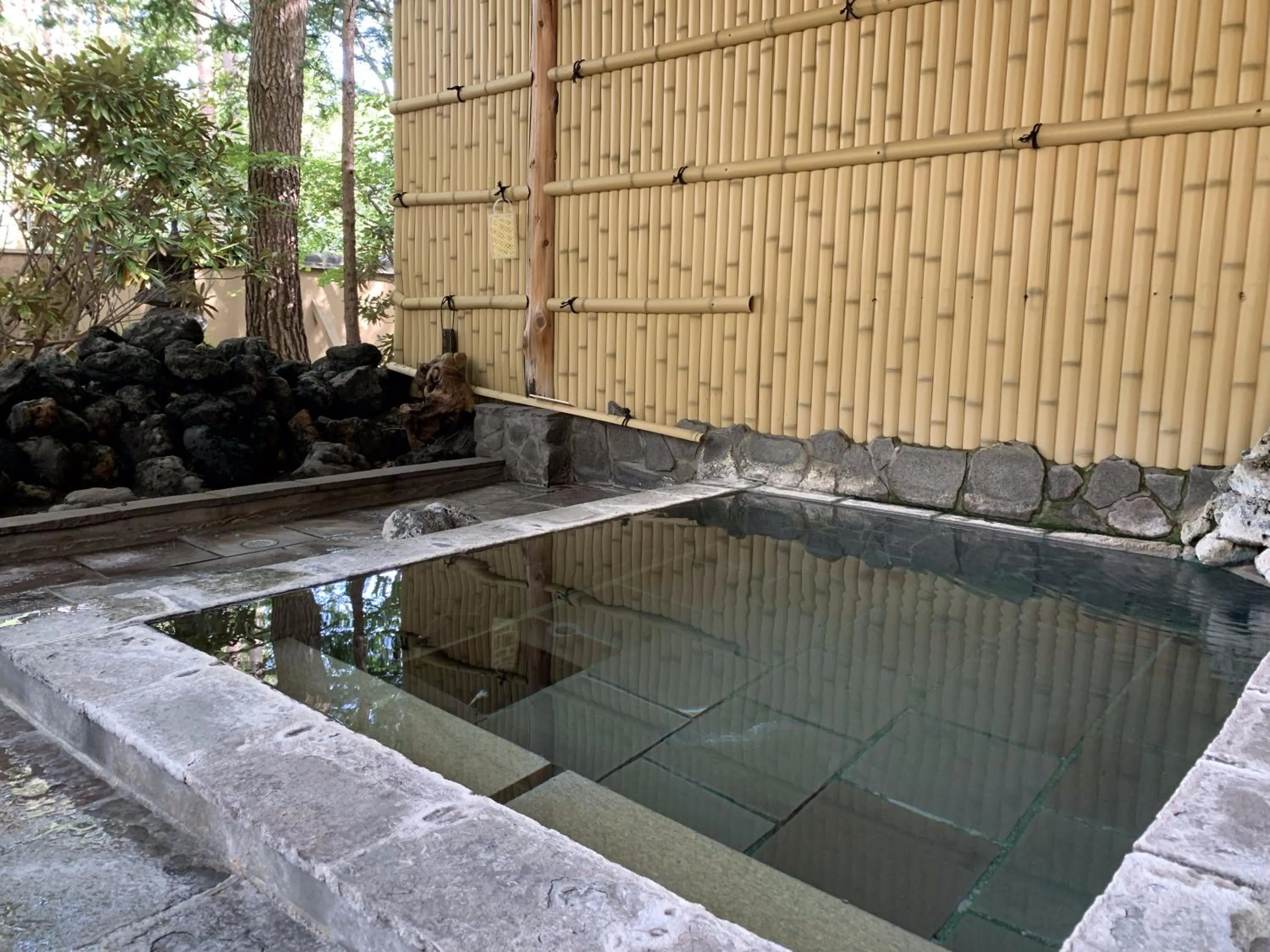 Hot Spring Bath in ELE Hotel Onsen Ryokufutei