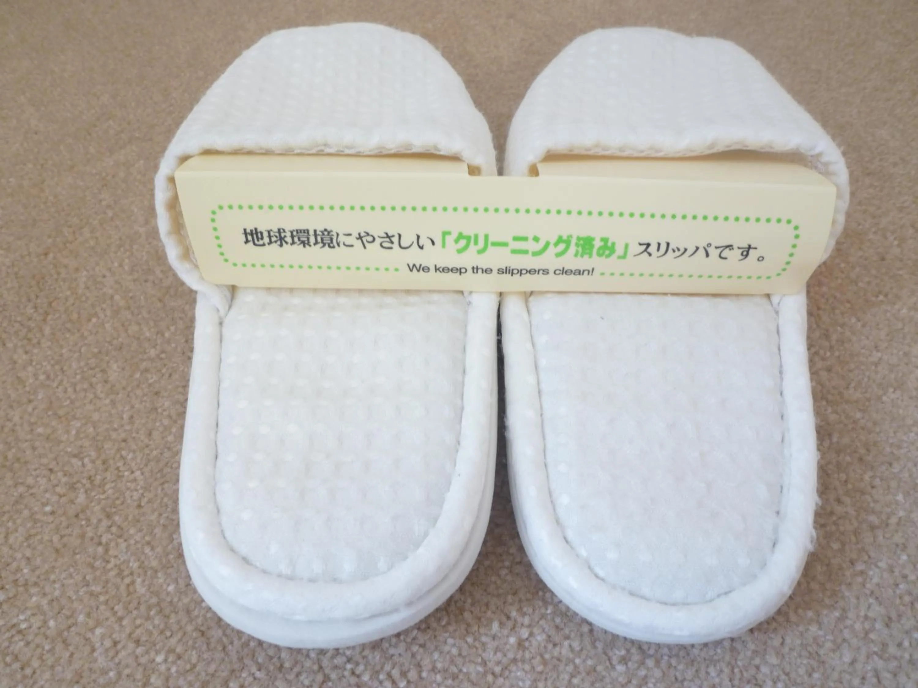 Other in Yamagata Kokusai Hotel