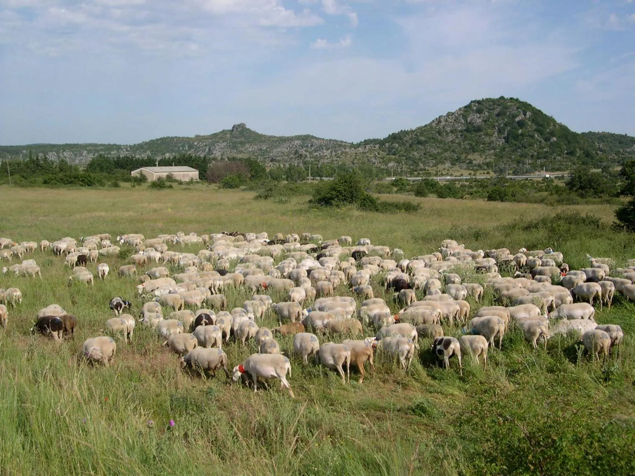 Other in Le Barry du Grand Chemin