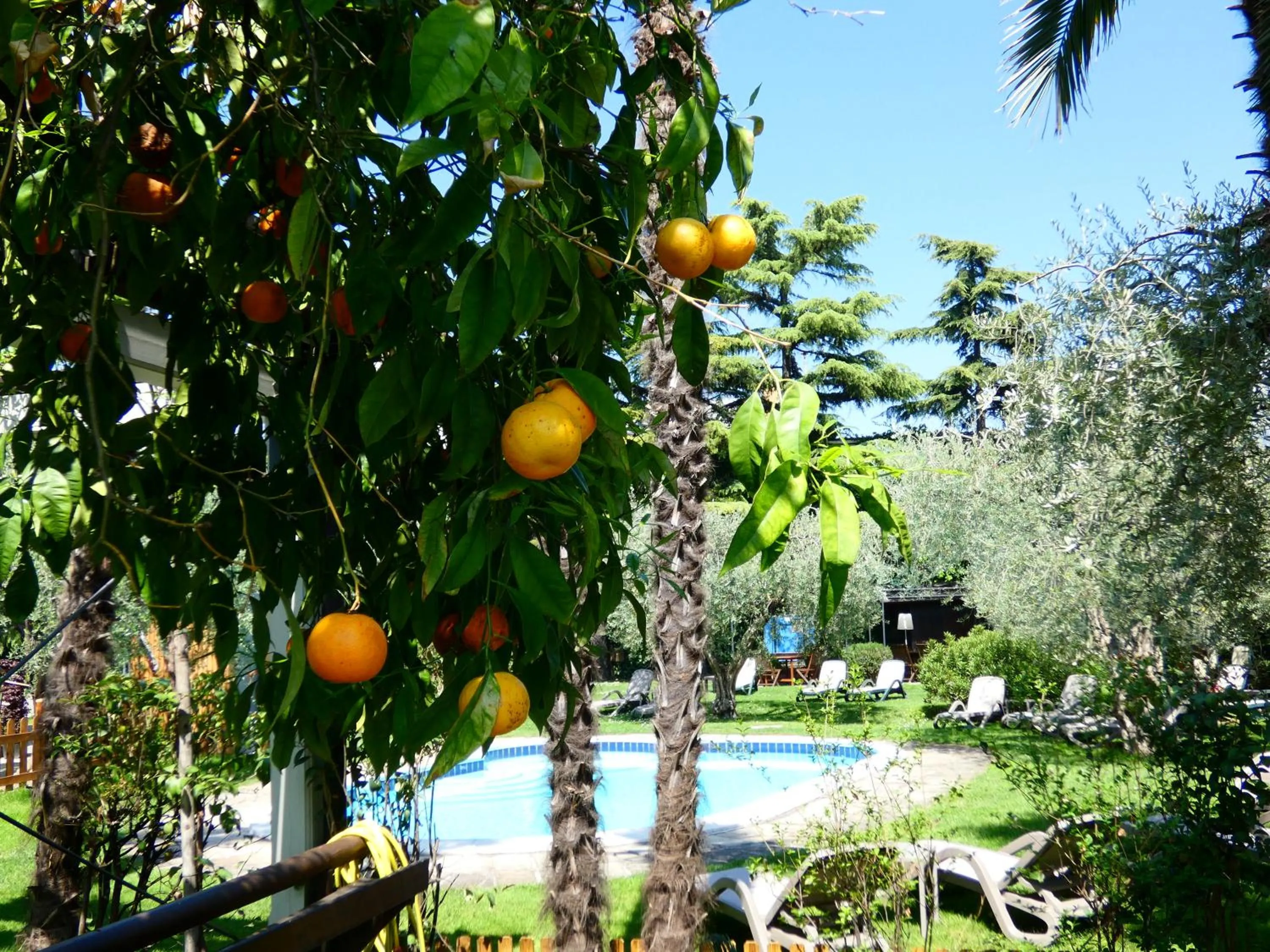Garden in Residence Villa degli Aranci