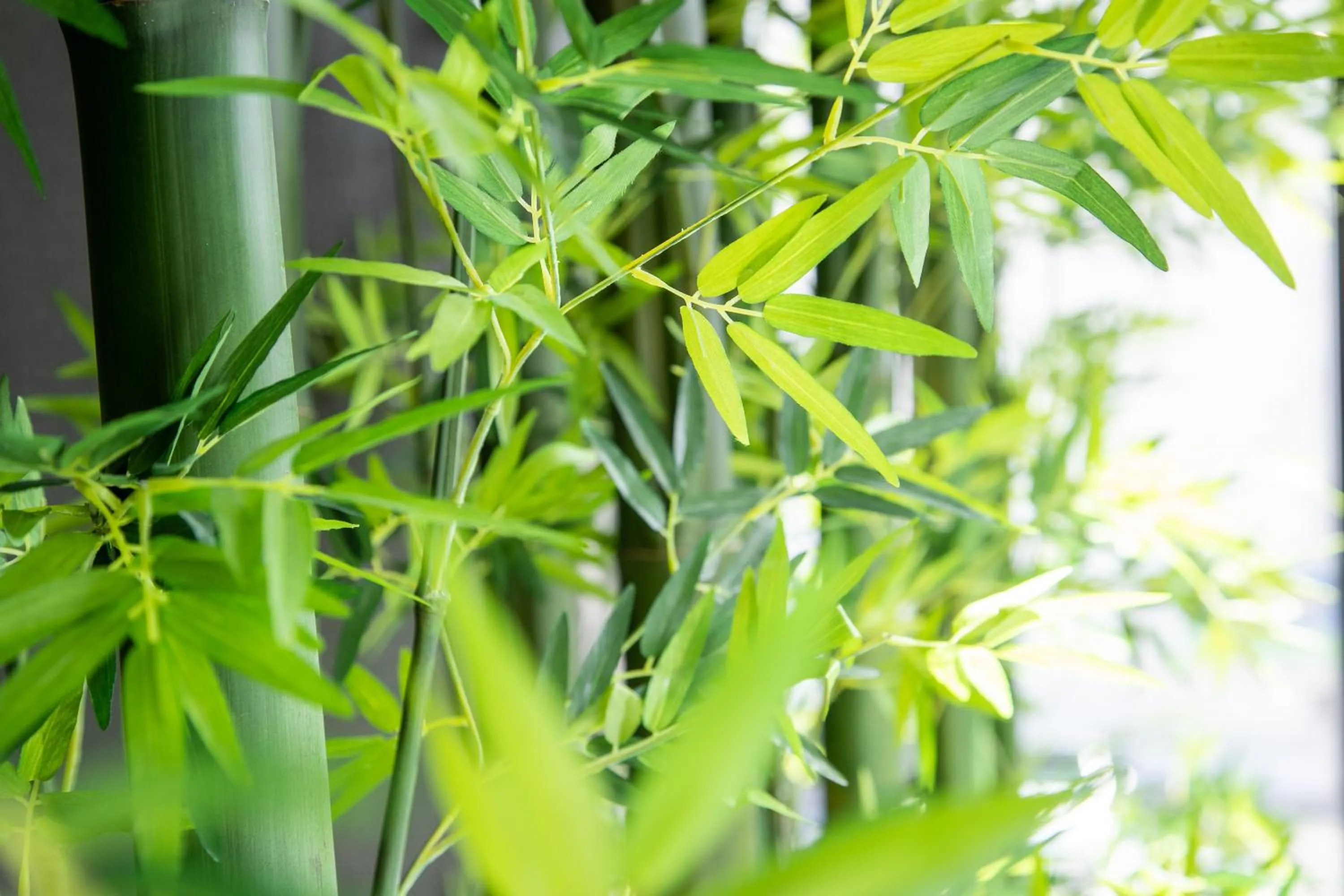 Decorative detail in Daiwa Roynet Hotel Nagoya Fushimi
