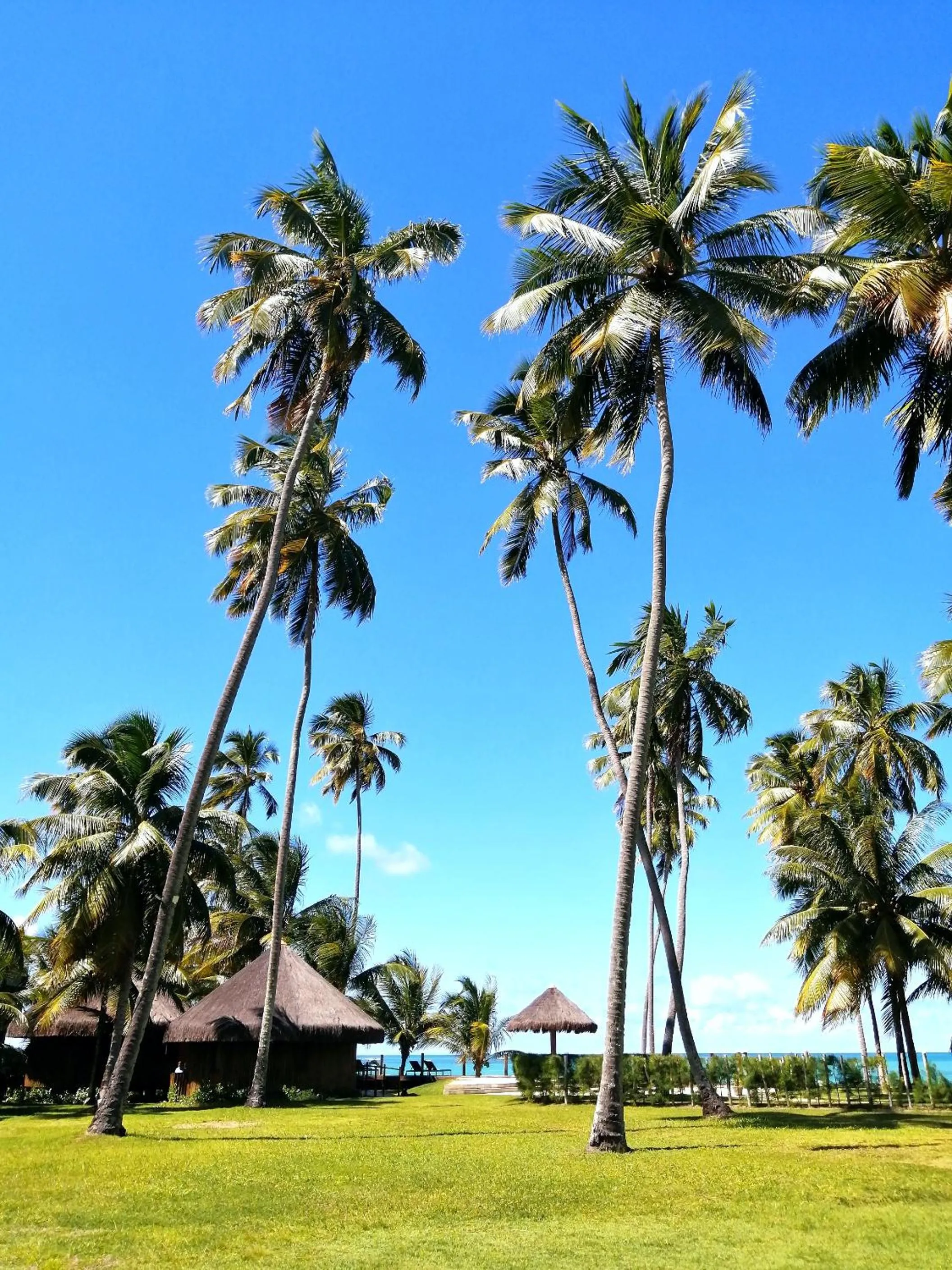 Garden in Carneiros Paradiso