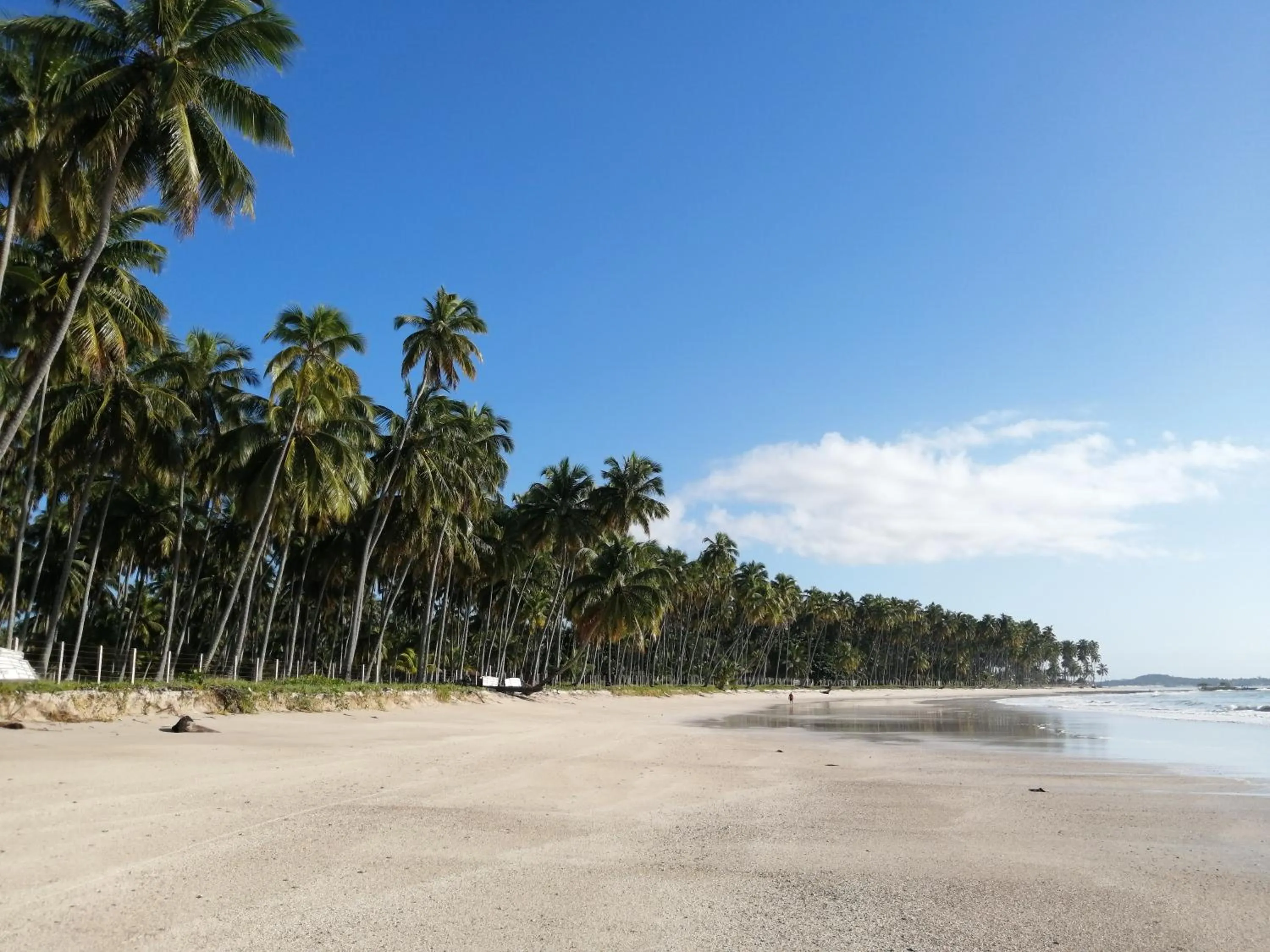 Beach in Carneiros Paradiso