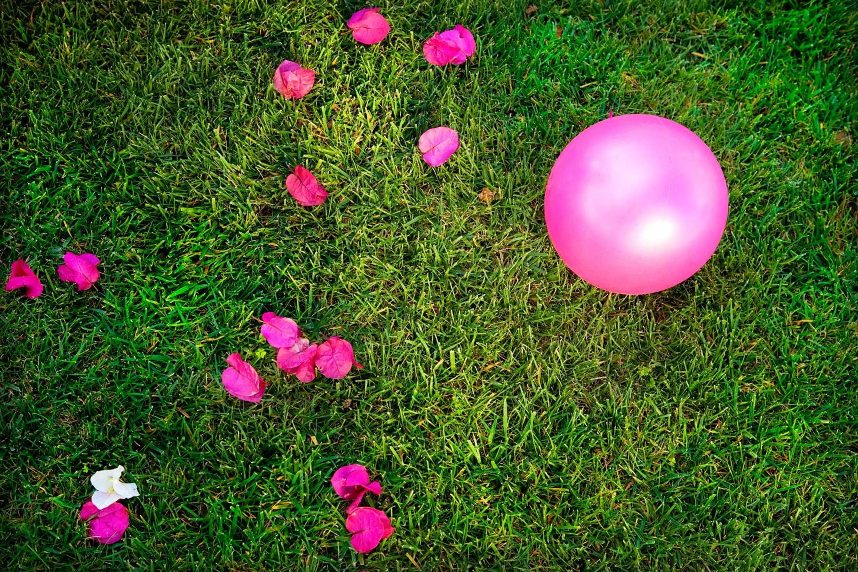 Garden in Vista Marina Apartamentos Turisticos