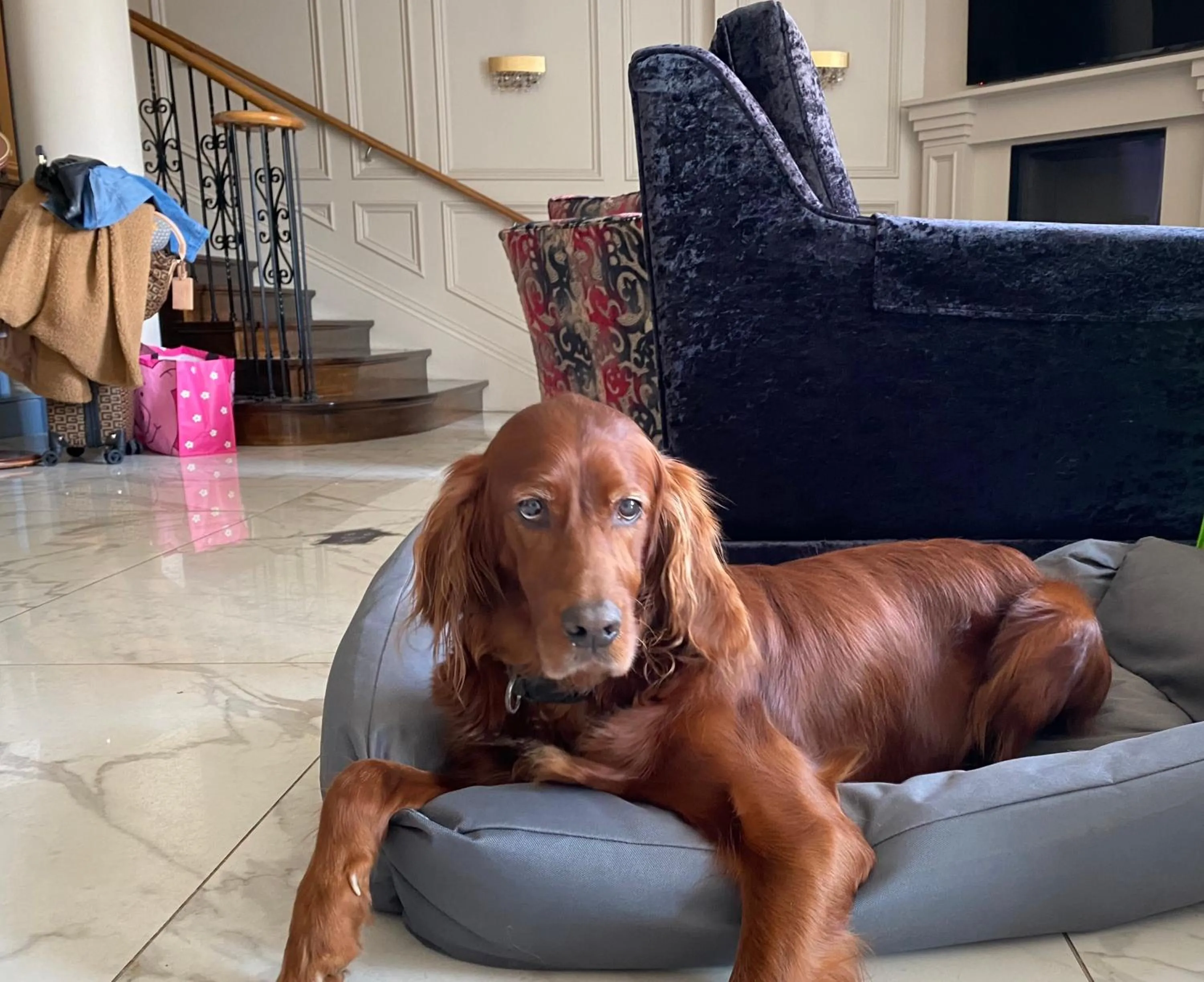 The Fairview Boutique Hotel