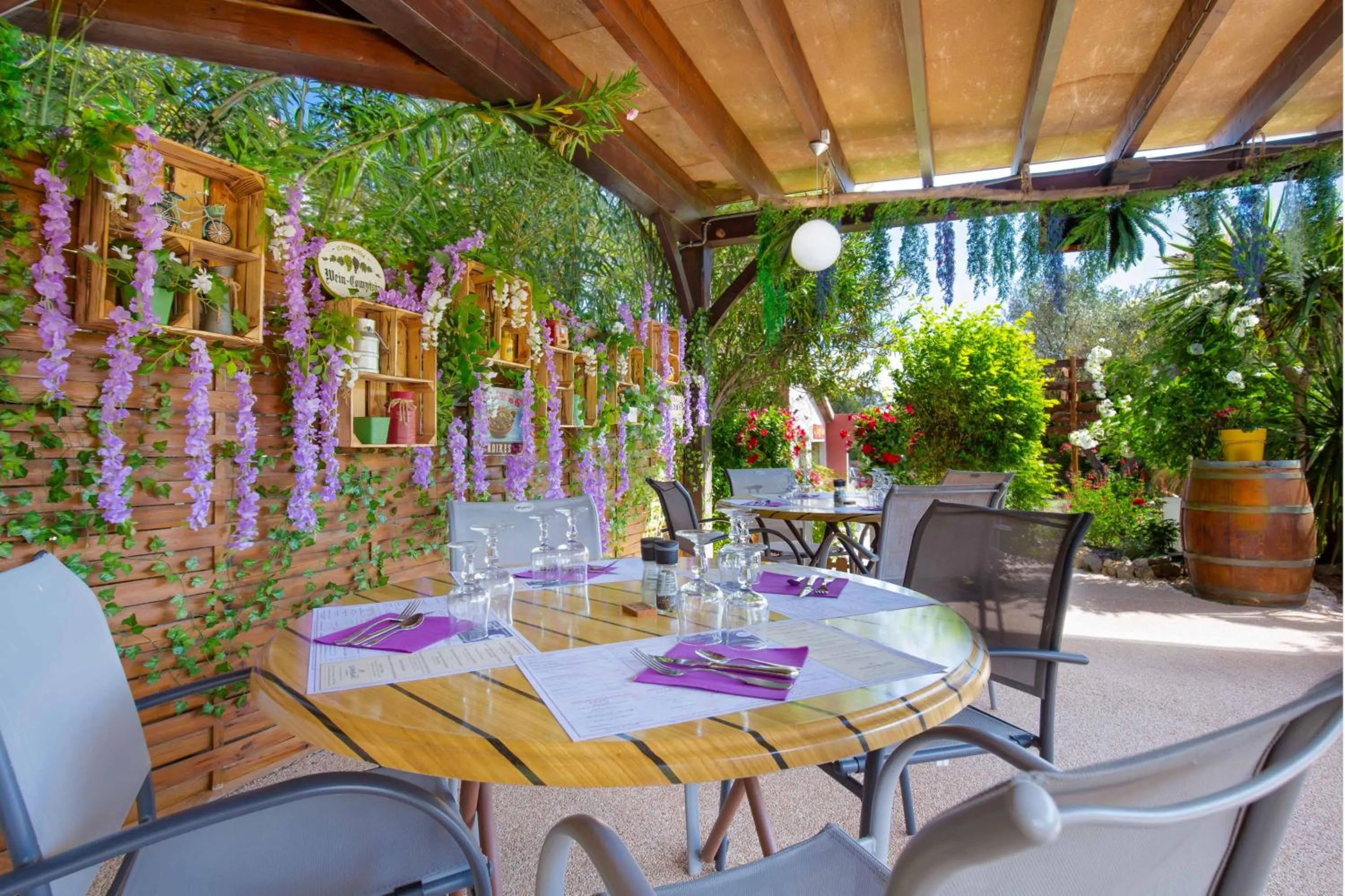 Les Pins Blancs en Provence