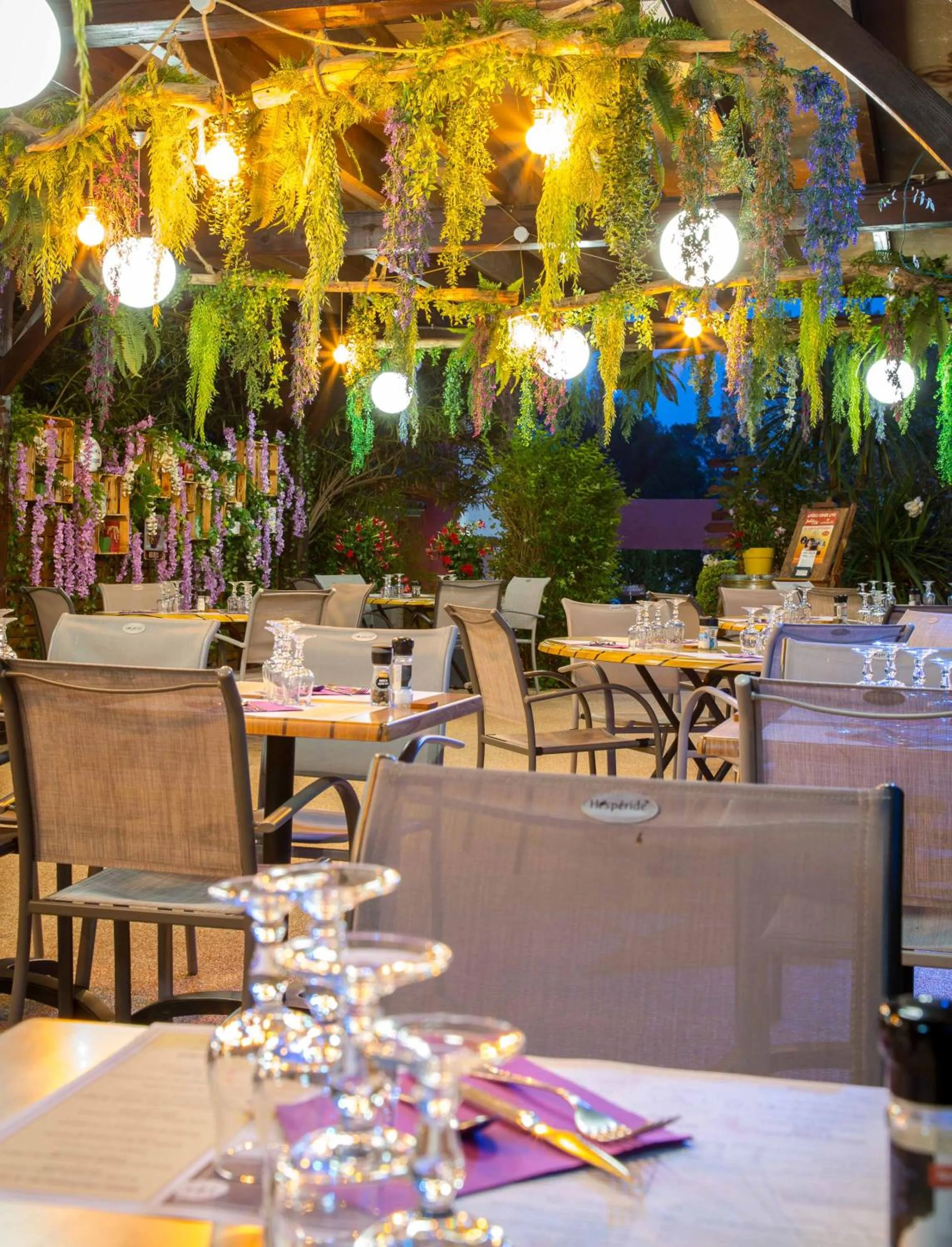 Les Pins Blancs en Provence