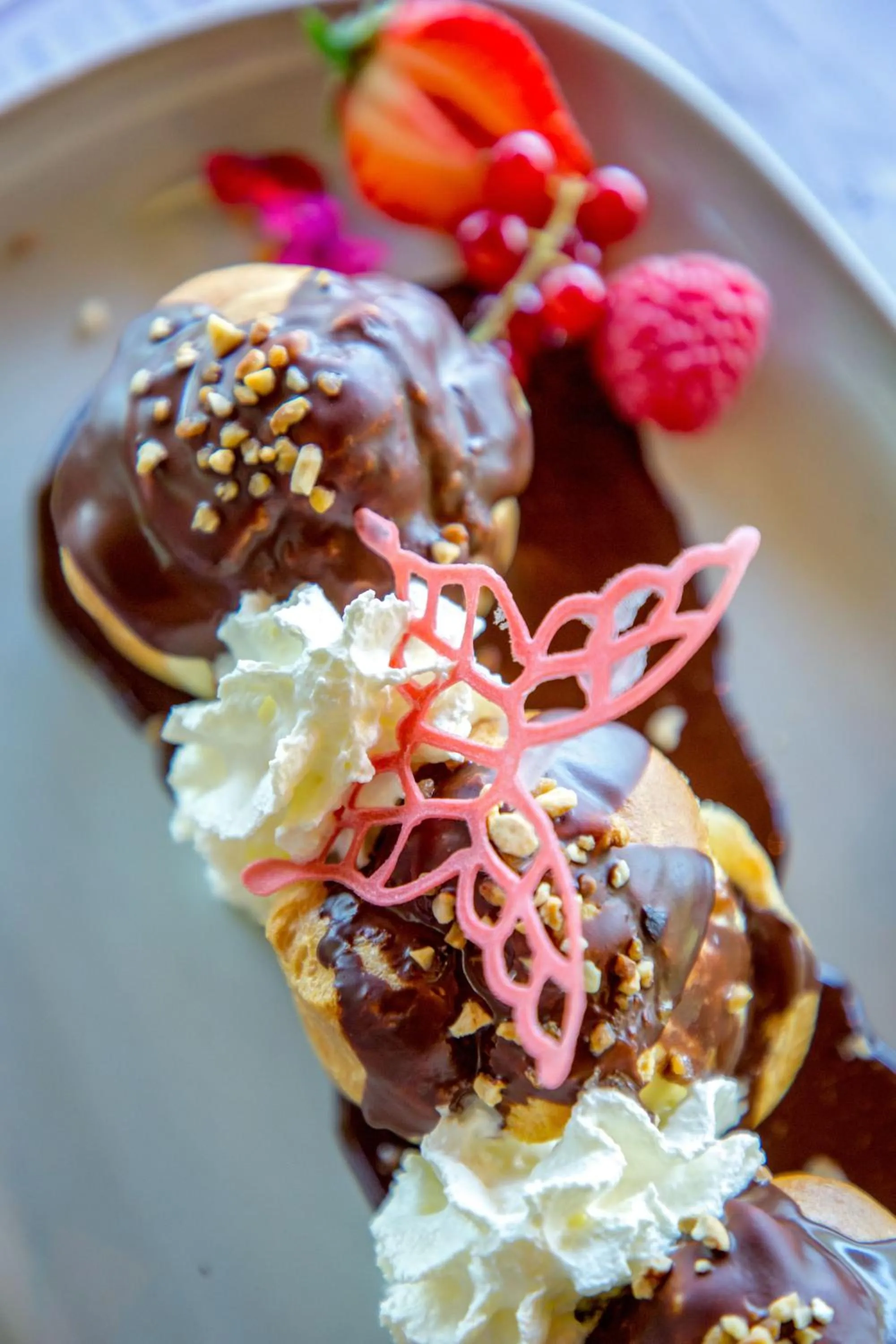 Les Pins Blancs en Provence